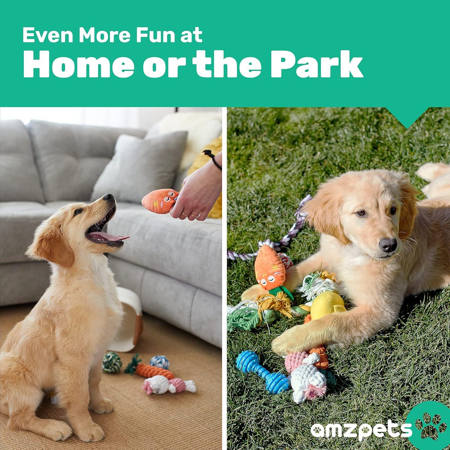 Conjunto de 10 Juguetes para Perros Pequeños AMZpets