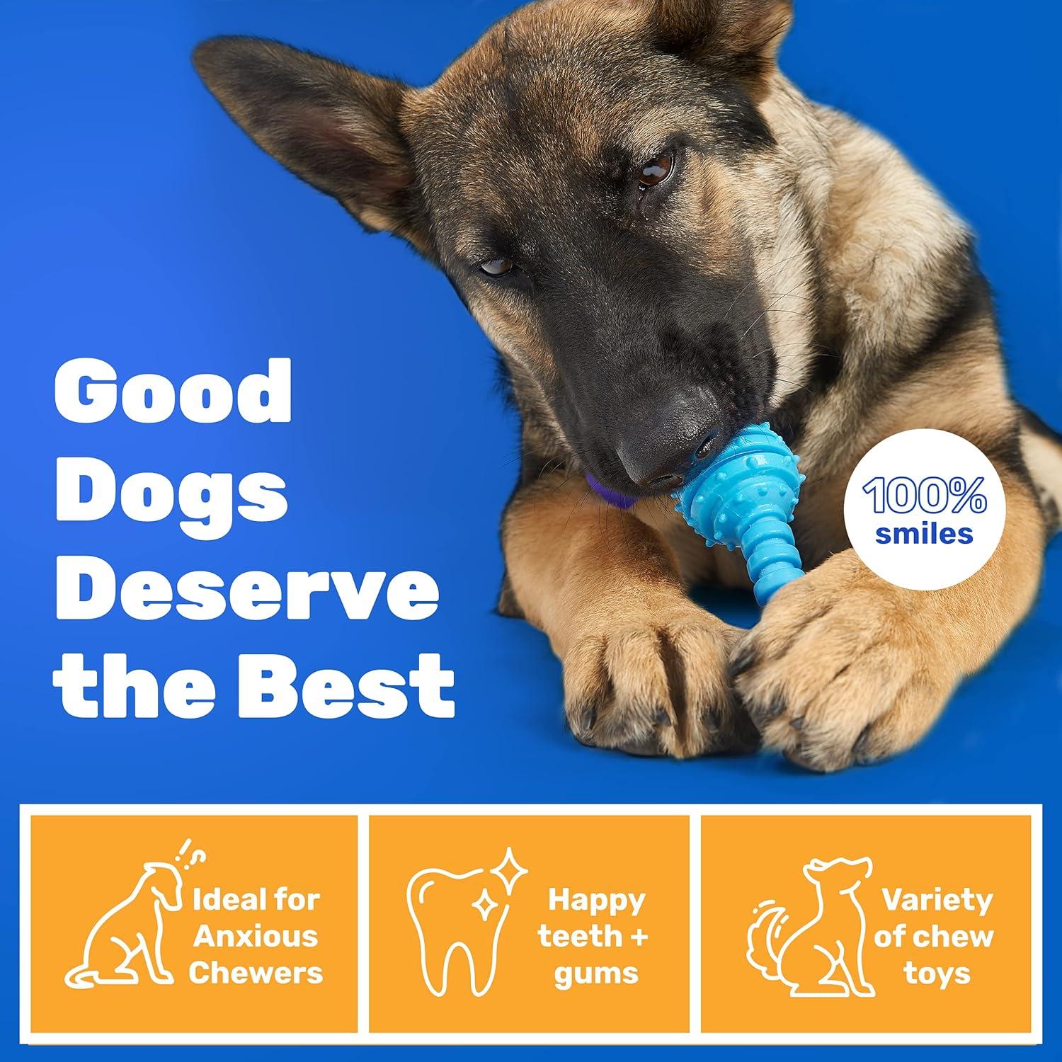 Conjunto de 10 Juguetes para Perros Pequeños AMZpets