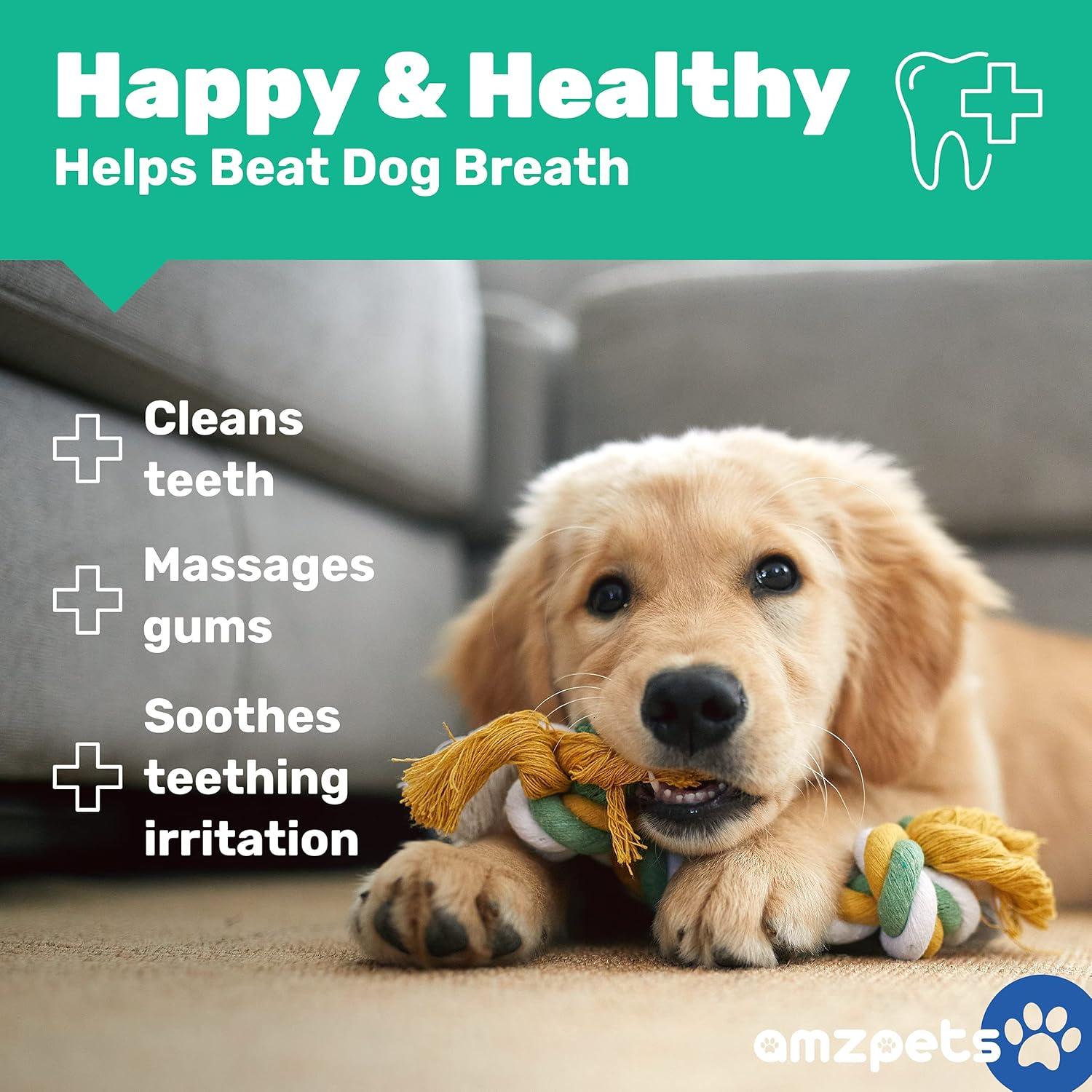 Conjunto de 10 Juguetes para Perros Pequeños AMZpets