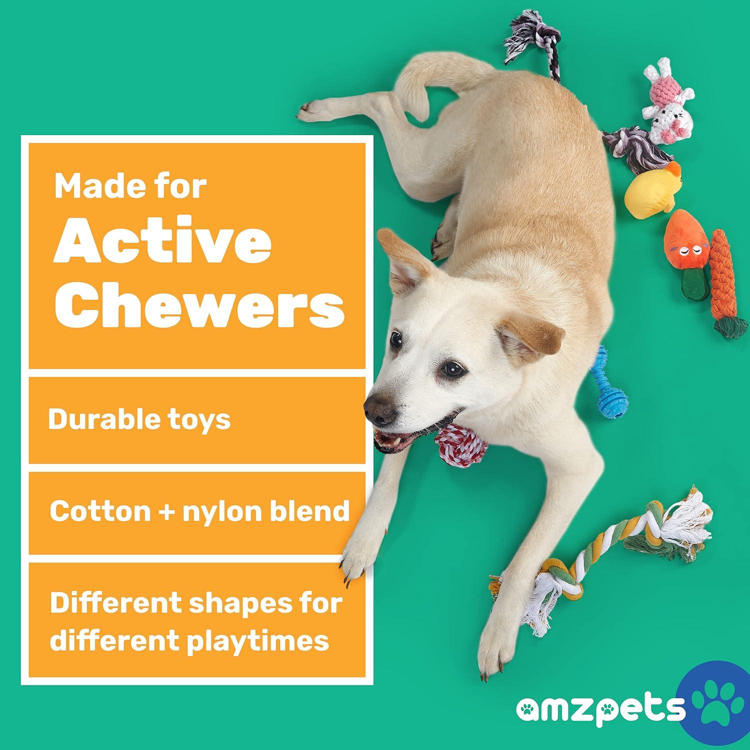 Conjunto de 10 Juguetes para Perros Pequeños AMZpets