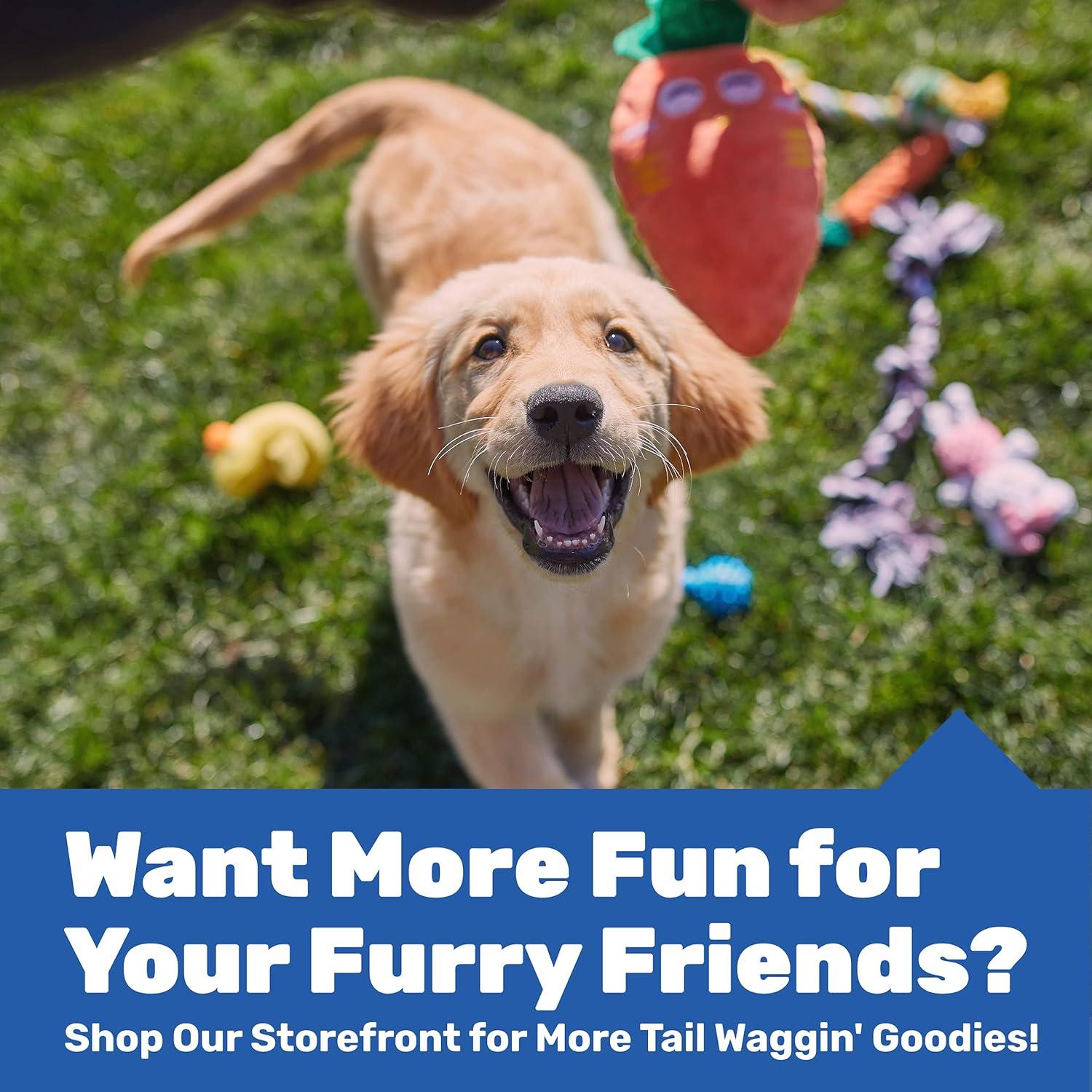 Conjunto de 10 Juguetes para Perros Pequeños AMZpets