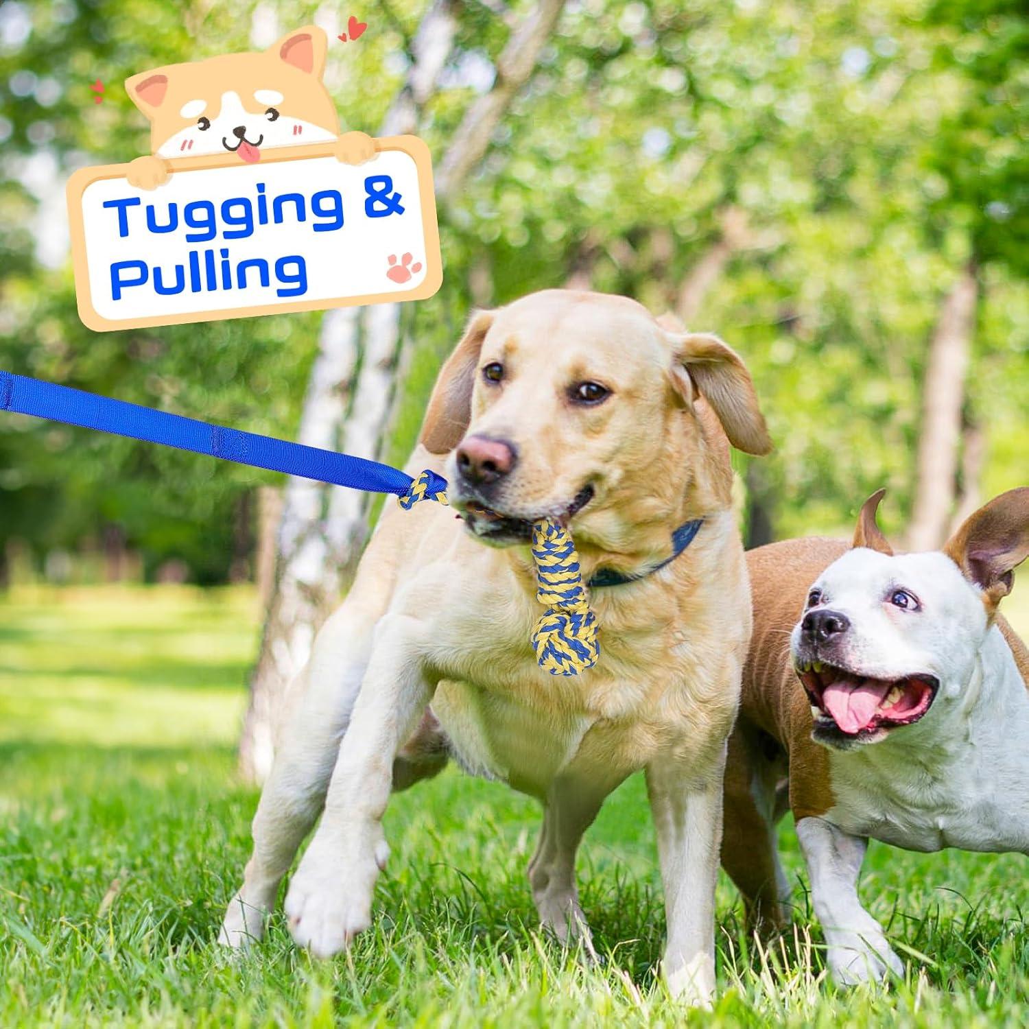 Juguete de tira y afloja para perros XiaZ - Cuerda elástica azul