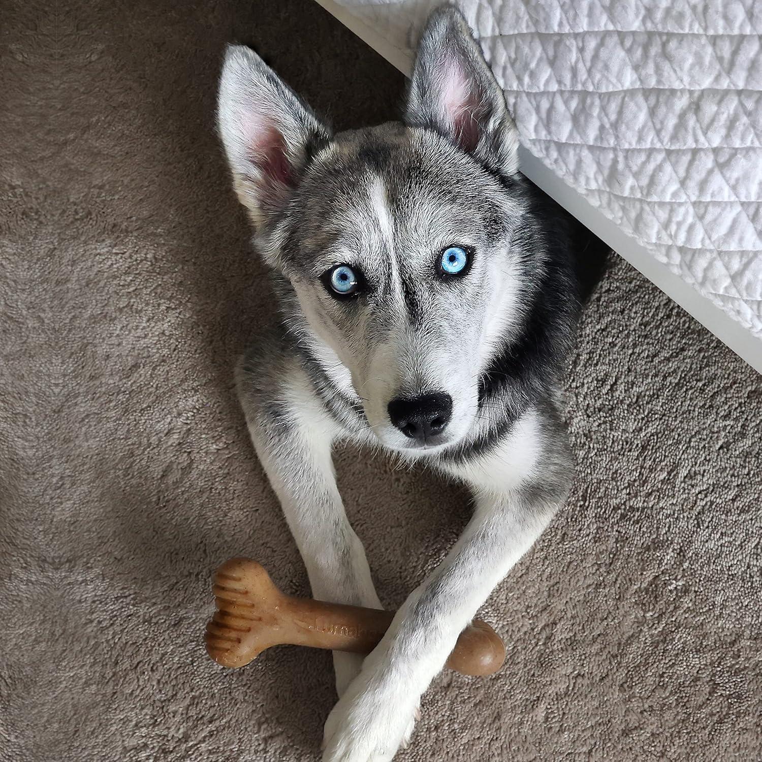 Juguete Masticable Lumabone Bulkster Pequeño Carne de Res