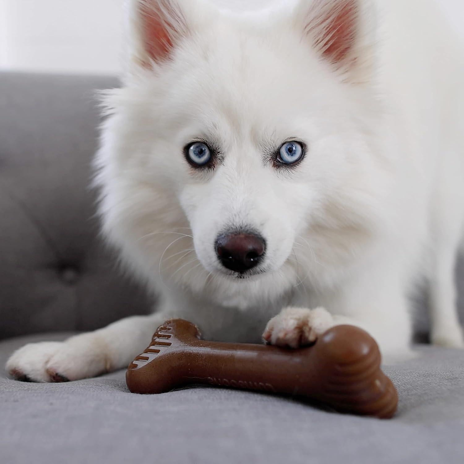 Juguete Masticable Lumabone Bulkster Pequeño Carne de Res