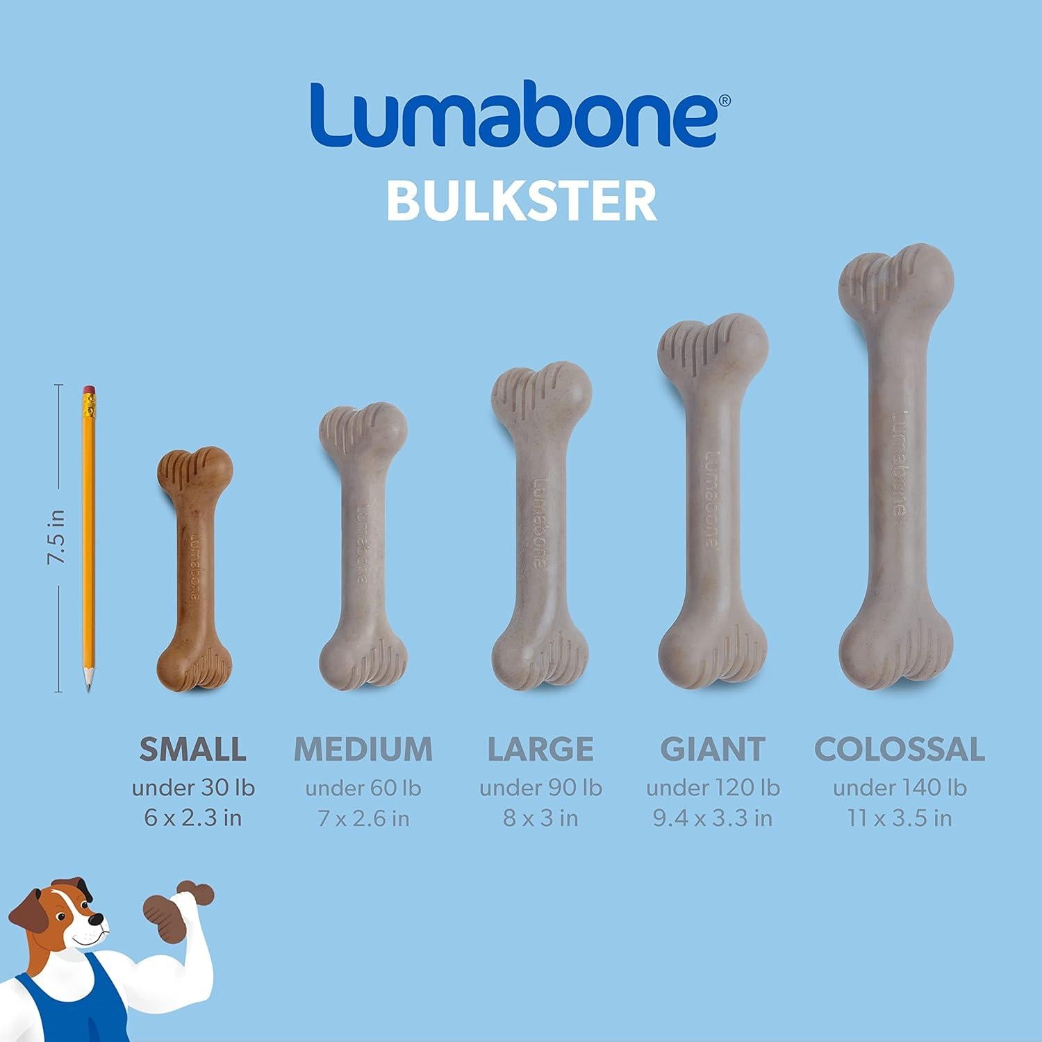 Juguete Masticable Lumabone Bulkster Pequeño Carne de Res