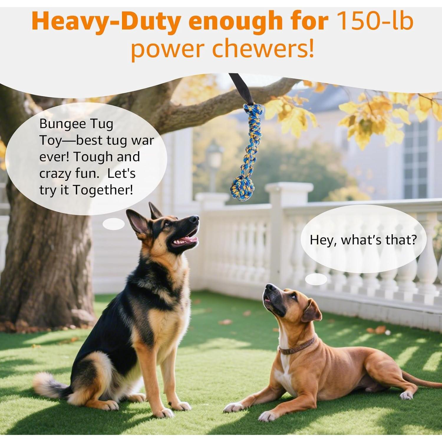 Juguete de Tirar con Bungee LOOBANI para Perros 6m Ajustable