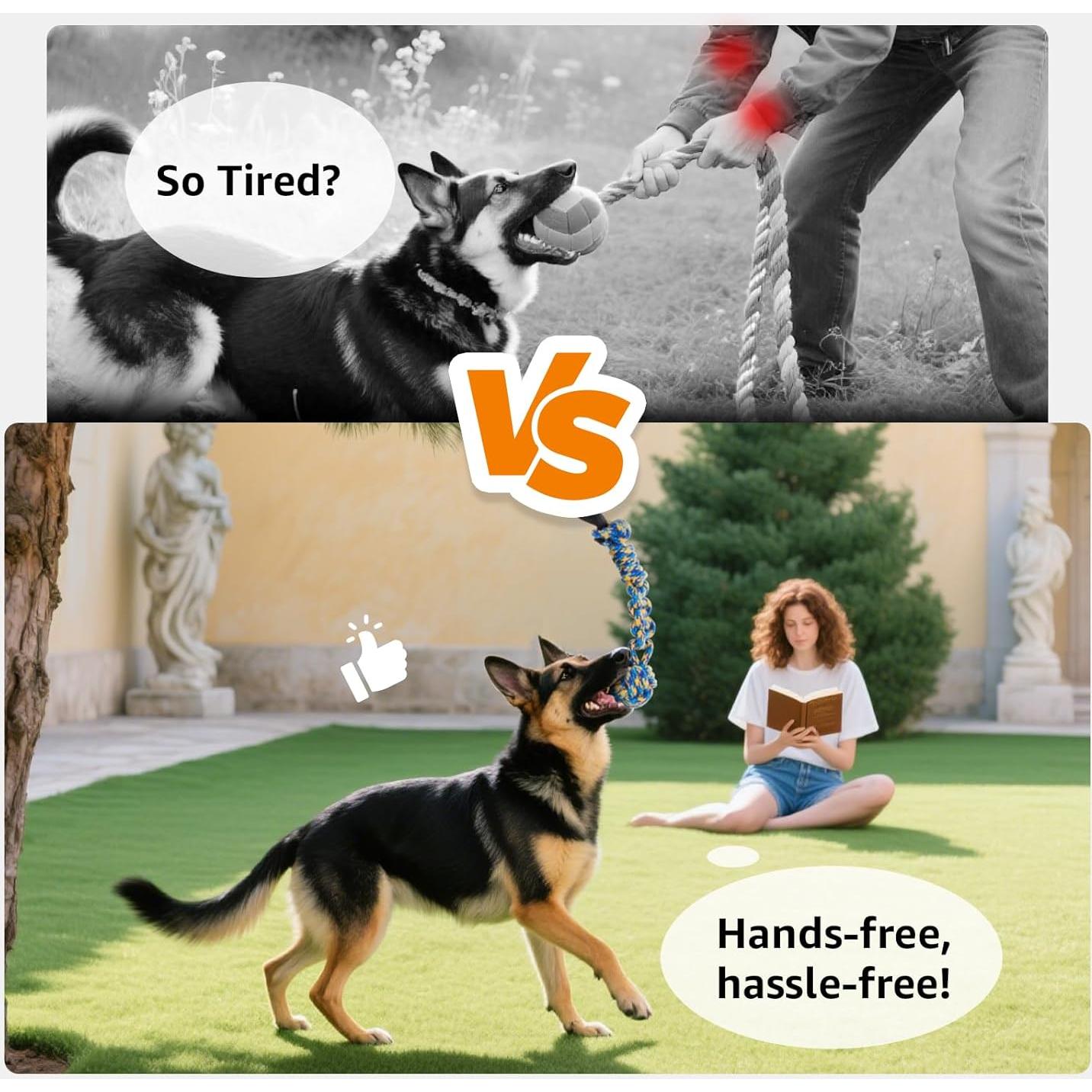 Juguete de Tirar con Bungee LOOBANI para Perros 6m Ajustable