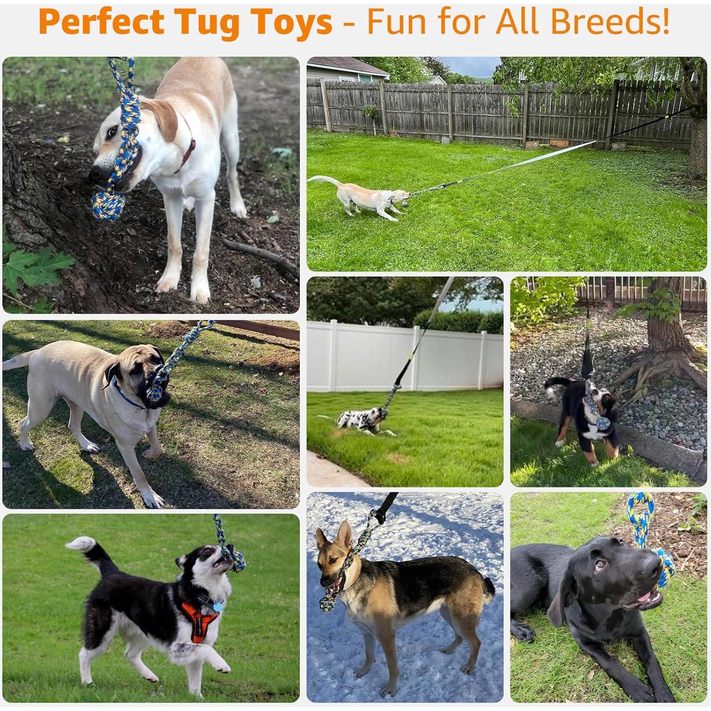 Juguete de Tirar con Bungee LOOBANI para Perros 6m Ajustable