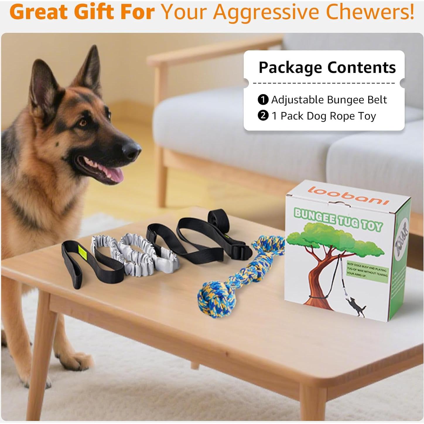 Juguete de Tirar con Bungee LOOBANI para Perros 6m Ajustable