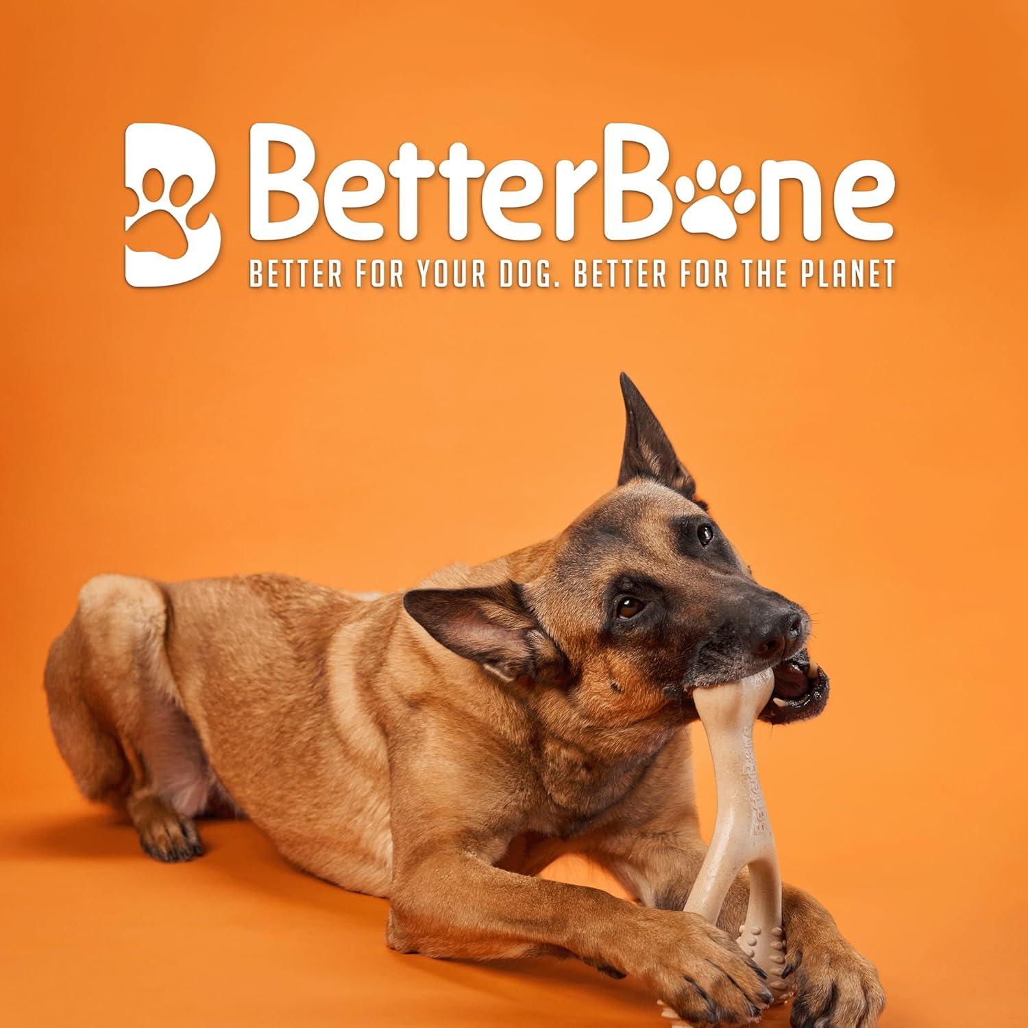 BetterBone Juguete Masticable para Perros Clásico Pequeño 100% Natural