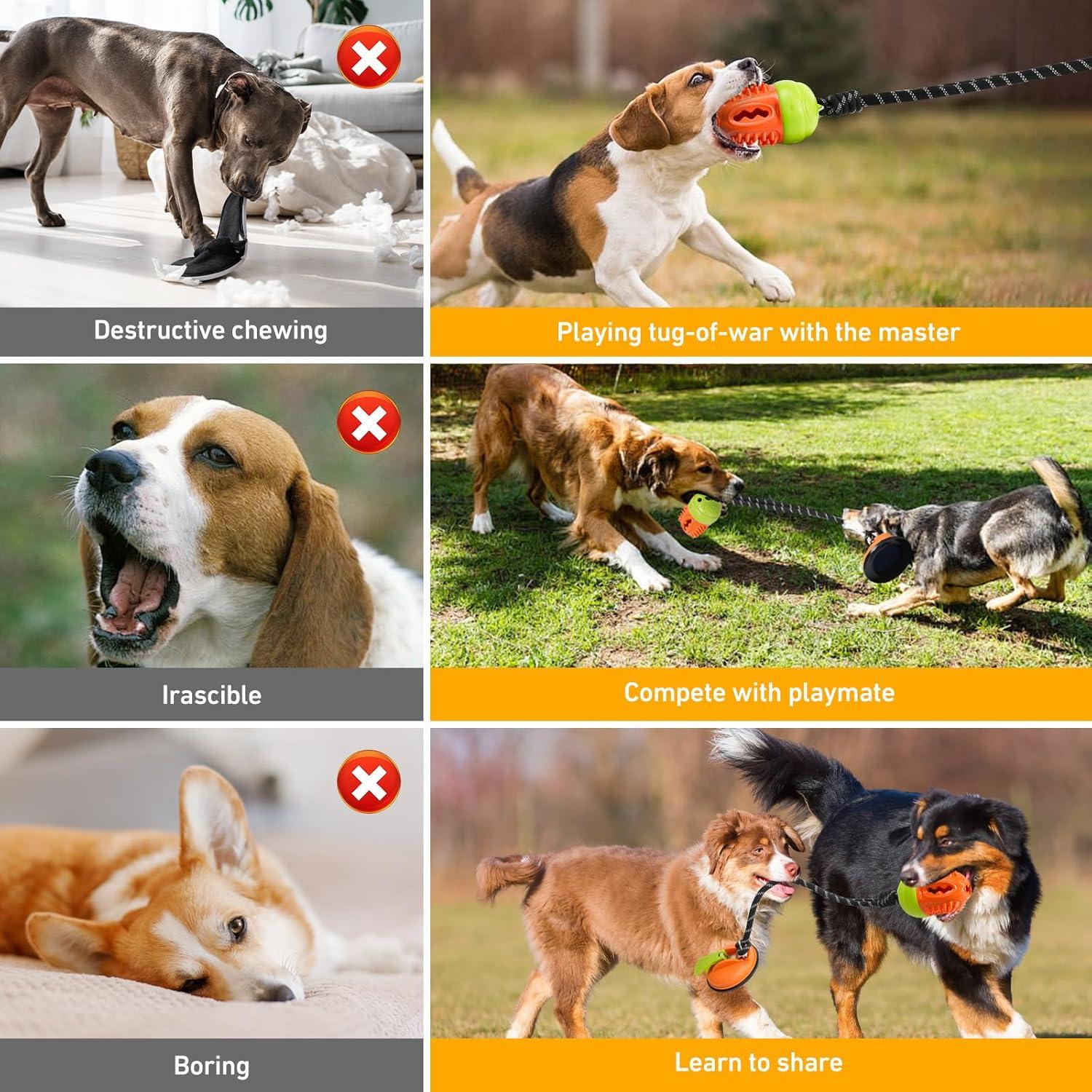 Juguete Interactivo para Perros Aipawzz con Ventosa y Cuerda