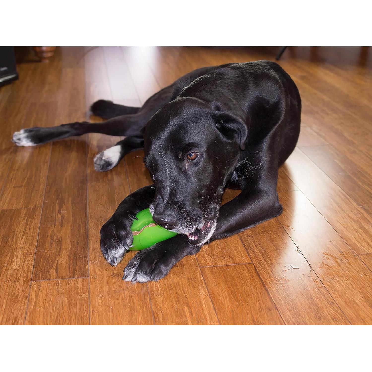 Bolsillo de Pepinillo Starmark para Perros - Dispensa Golosinas