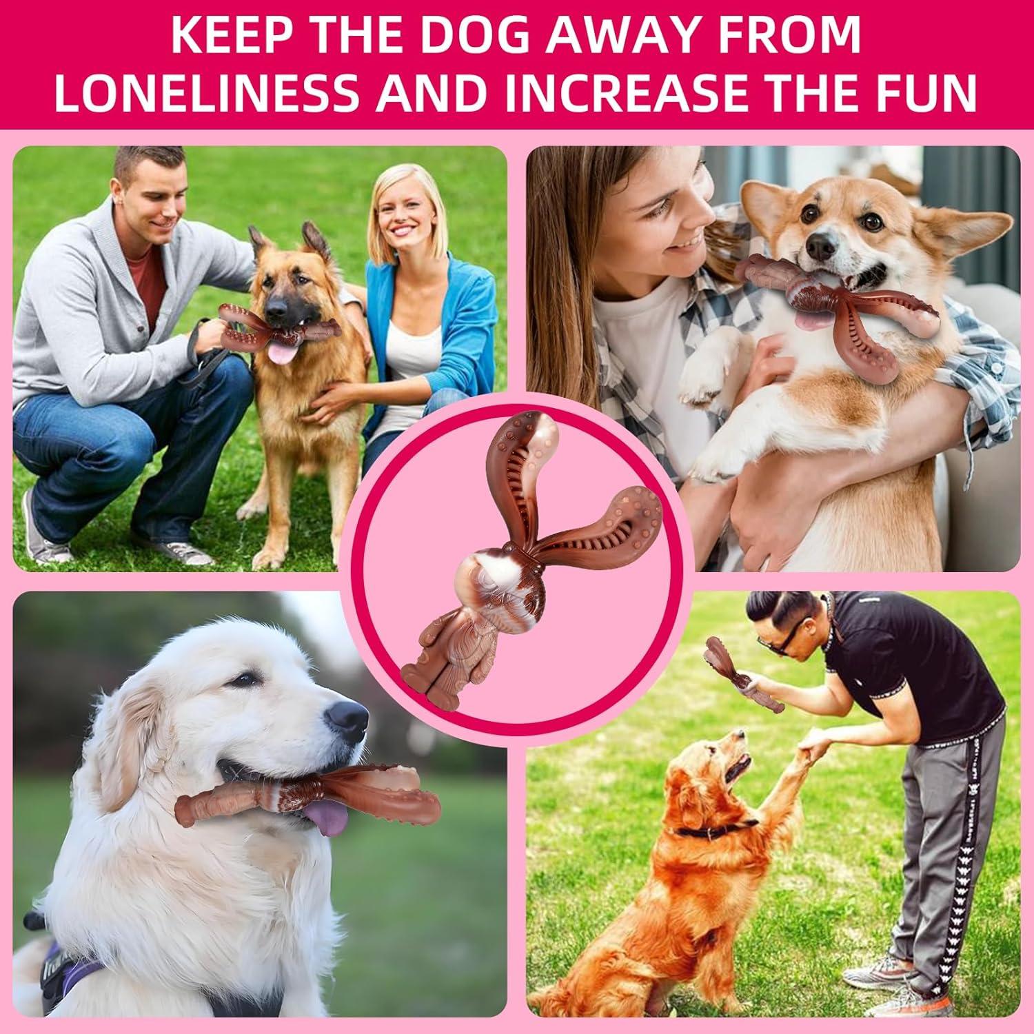 Juguete Indestructible para Perros NTFWG Conejo 17.95cm