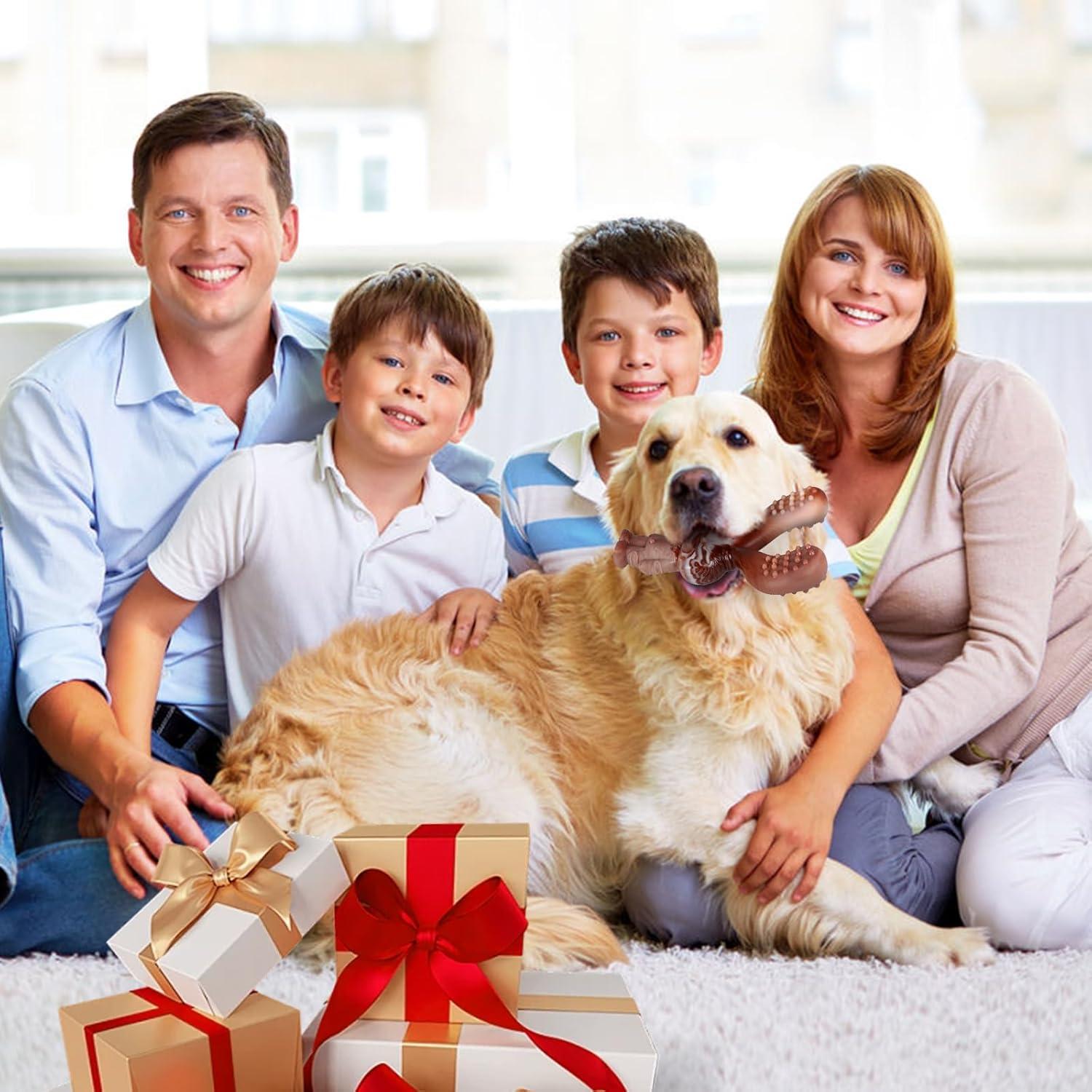 Juguete Indestructible para Perros NTFWG Conejo 17.95cm