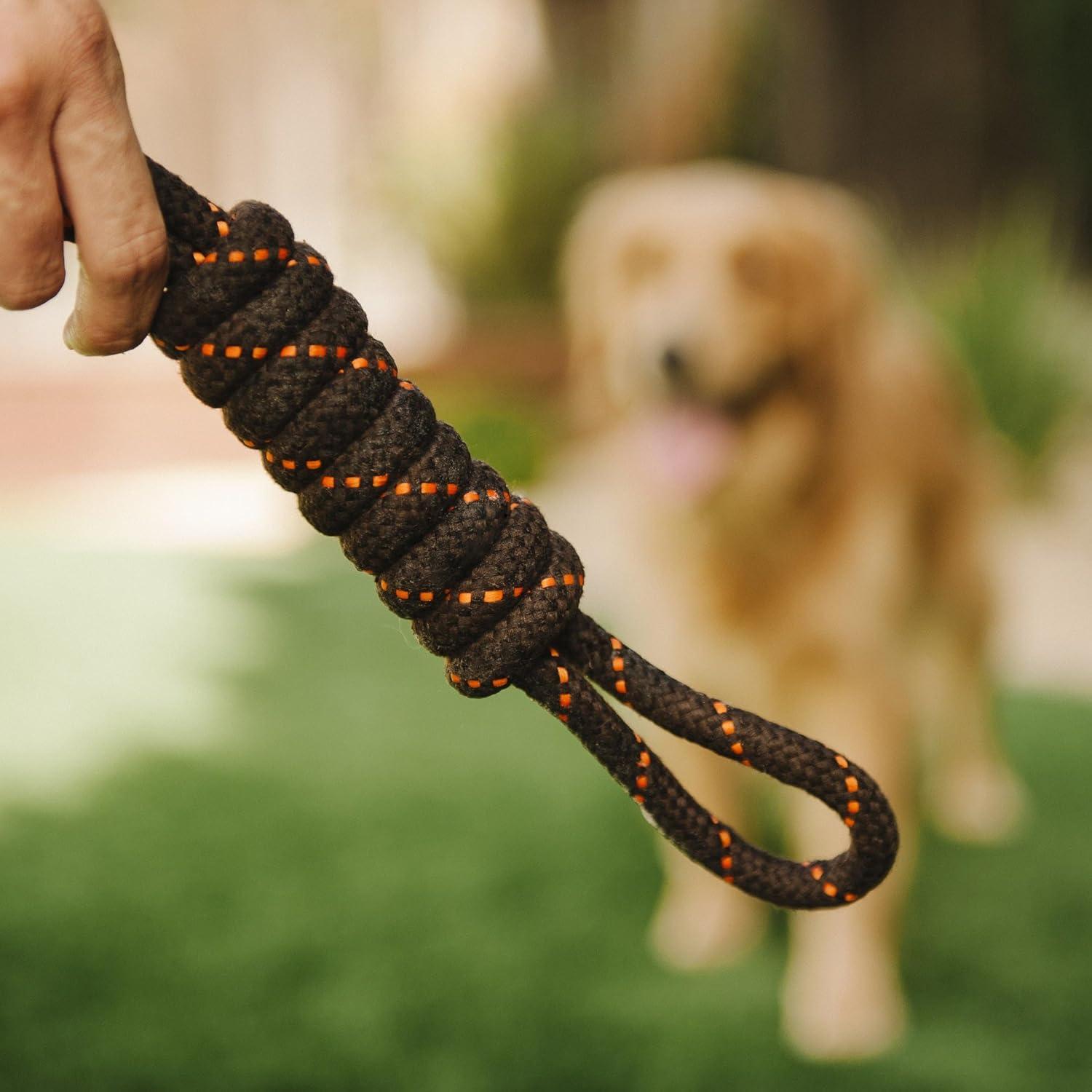 Juguete de Cuerda para Perros P.L.A.Y. Scout & About Grande