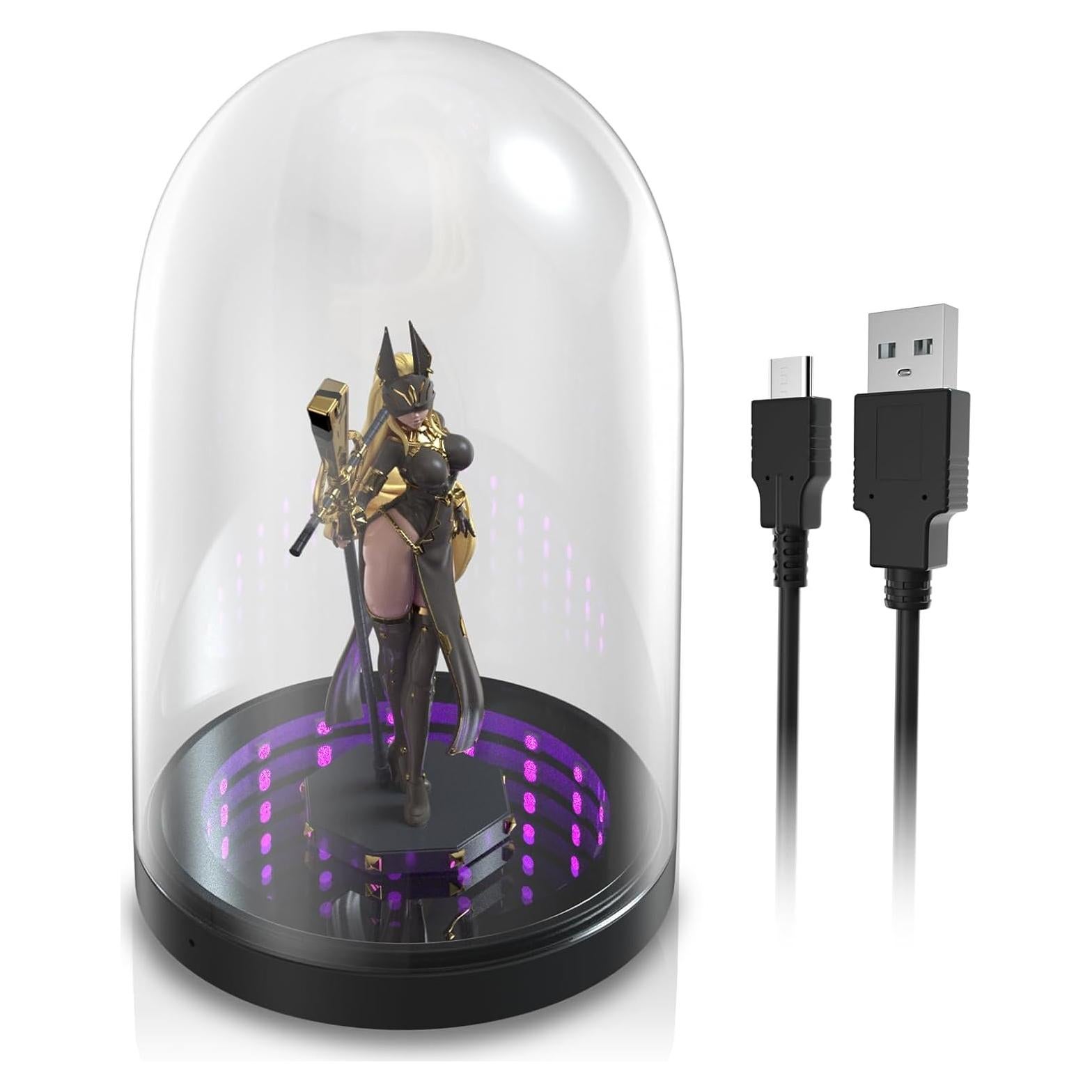 Caja de Exhibición Acrílica ECHZOVE con Luces LED 20.3cm