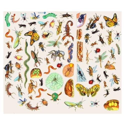 78 Figuras de Fieltro Insectos Story Time Felts 3.81 cm