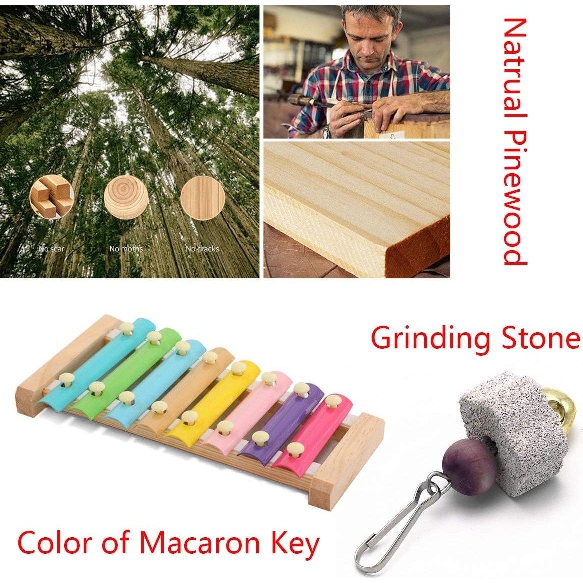 Juguete de xilófono para gallinas Vehomy con piedra de moler