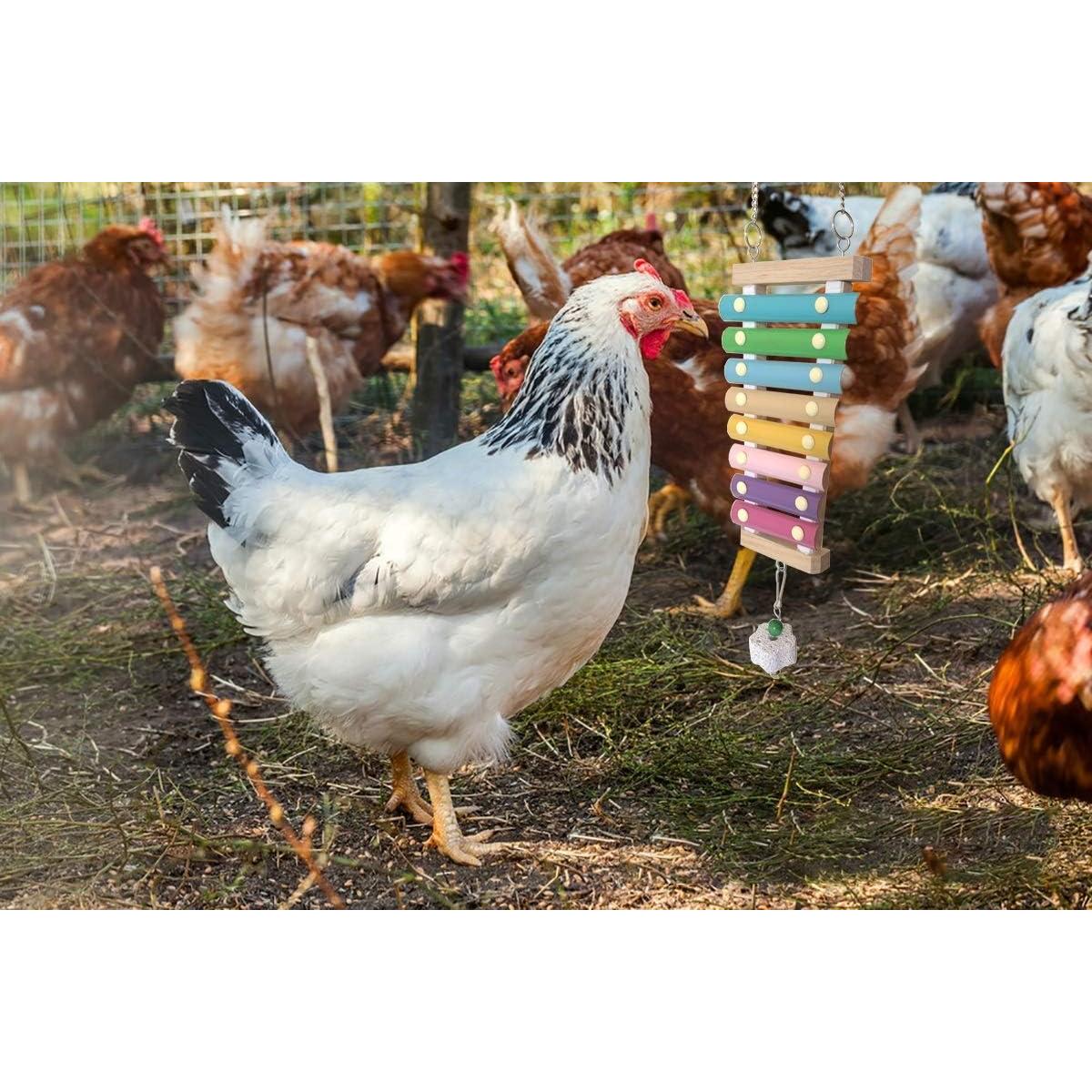 Juguete de xilófono para gallinas Vehomy con piedra de moler