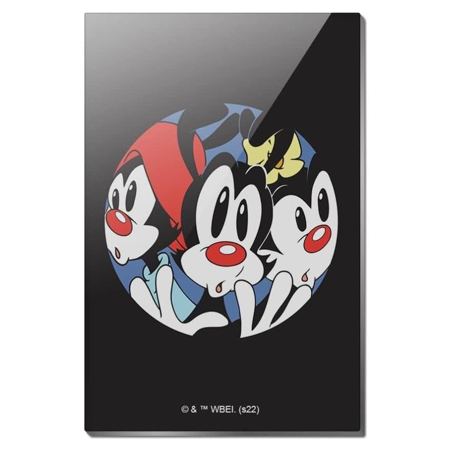 Imán Acrílico Rectangular Animaniacs 7.6x5.1cm - Graphics & More