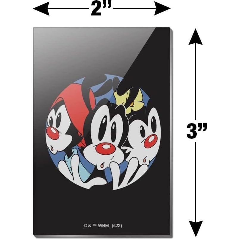 Imán Acrílico Rectangular Animaniacs 7.6x5.1cm - Graphics & More