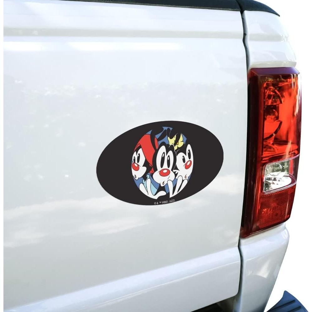 Imán Ovalado de Vinilo Animaniacs Graphics & More 17.8x10.2cm