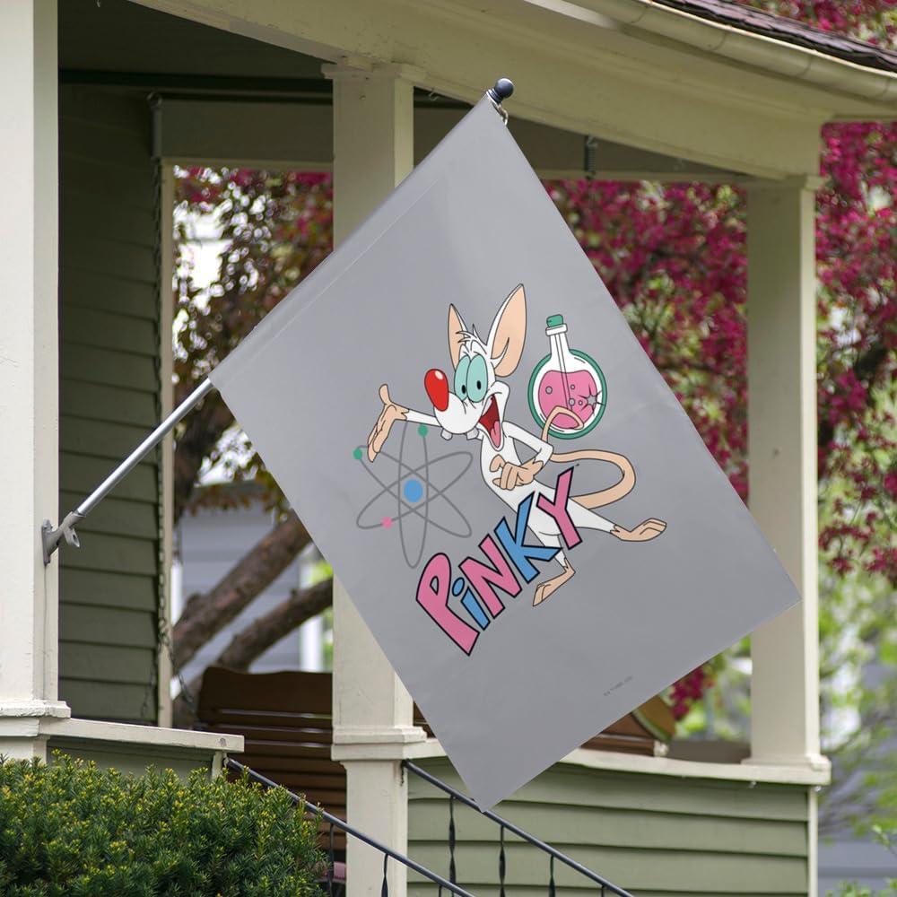 Bandera Doble Cara Pinky y el Cerebro 76x102 cm Poliéster