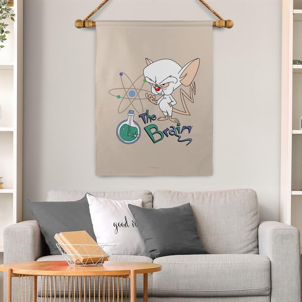 Bandera Doble Cara Pinky y El Cerebro 76x102 cm Poliester