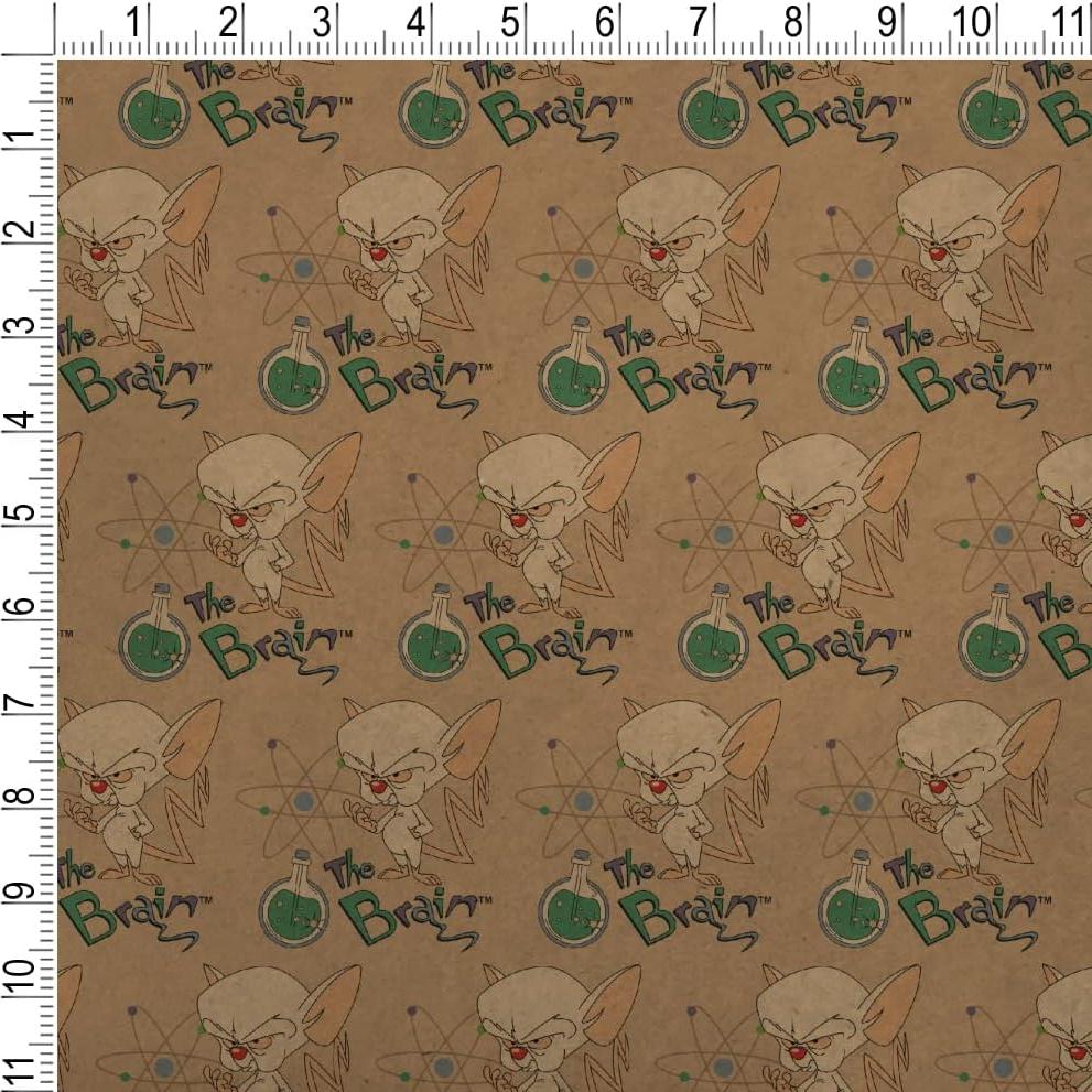 Papel de Regalo Kraft Pinky y el Cerebro 91x183 cm