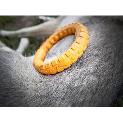 Juguete de Masticar Dental Grande Spunky Pup Gnaw Guard