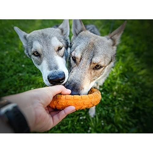 Juguete de Masticar Dental Grande Spunky Pup Gnaw Guard