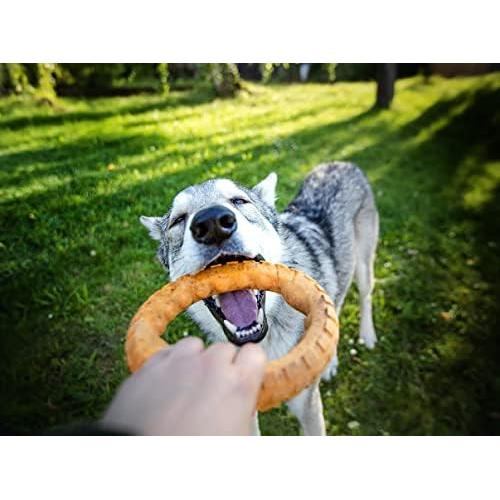 Juguete de Masticar Dental Grande Spunky Pup Gnaw Guard