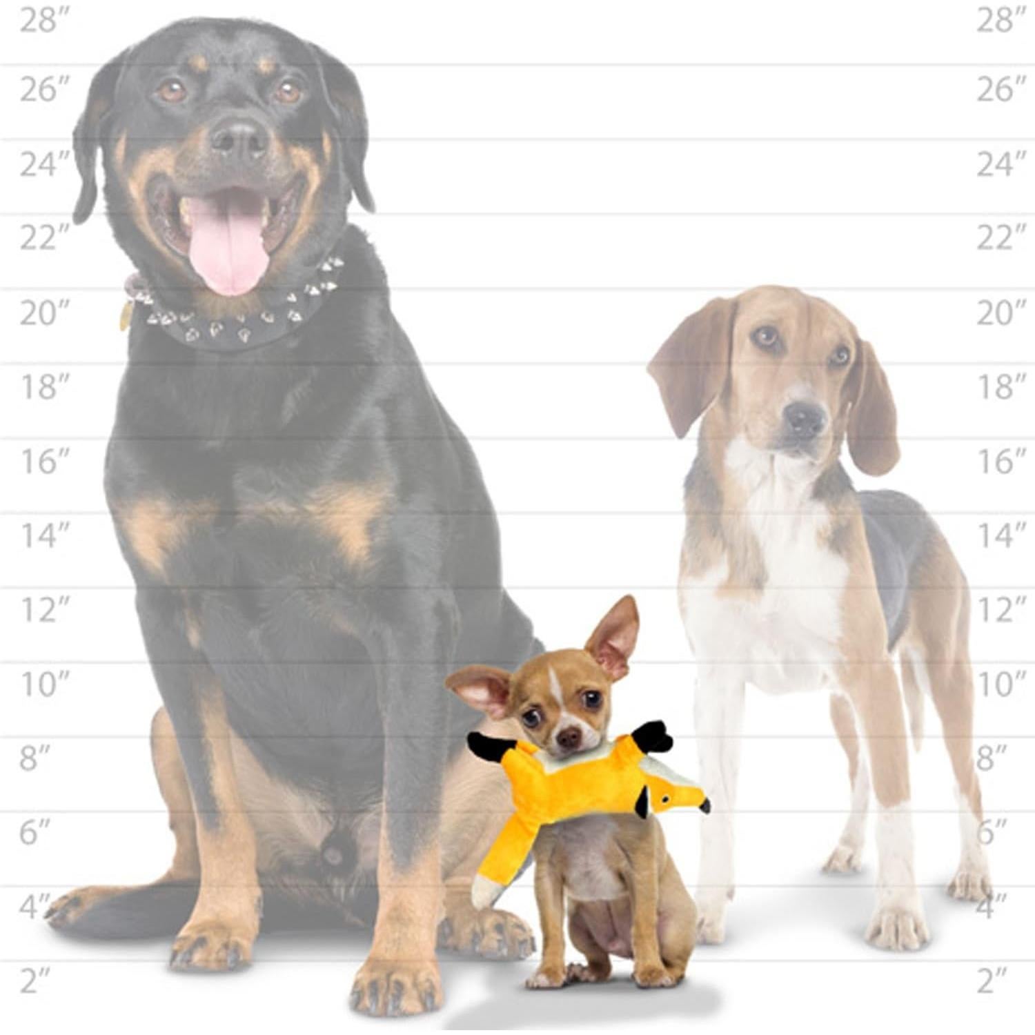 Juguete Interactivo para Perros Mighty Zorro Junior 22.8cm