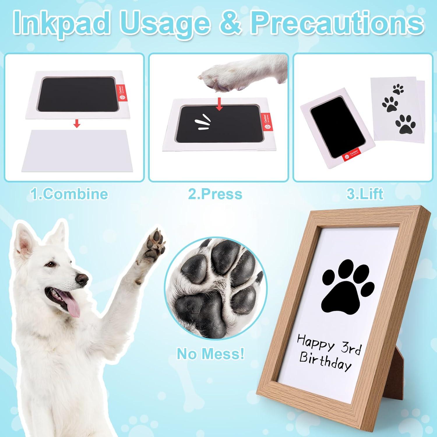 Juego de Juguetes de Cumpleaños para Perros PATTEPOINT - Azul