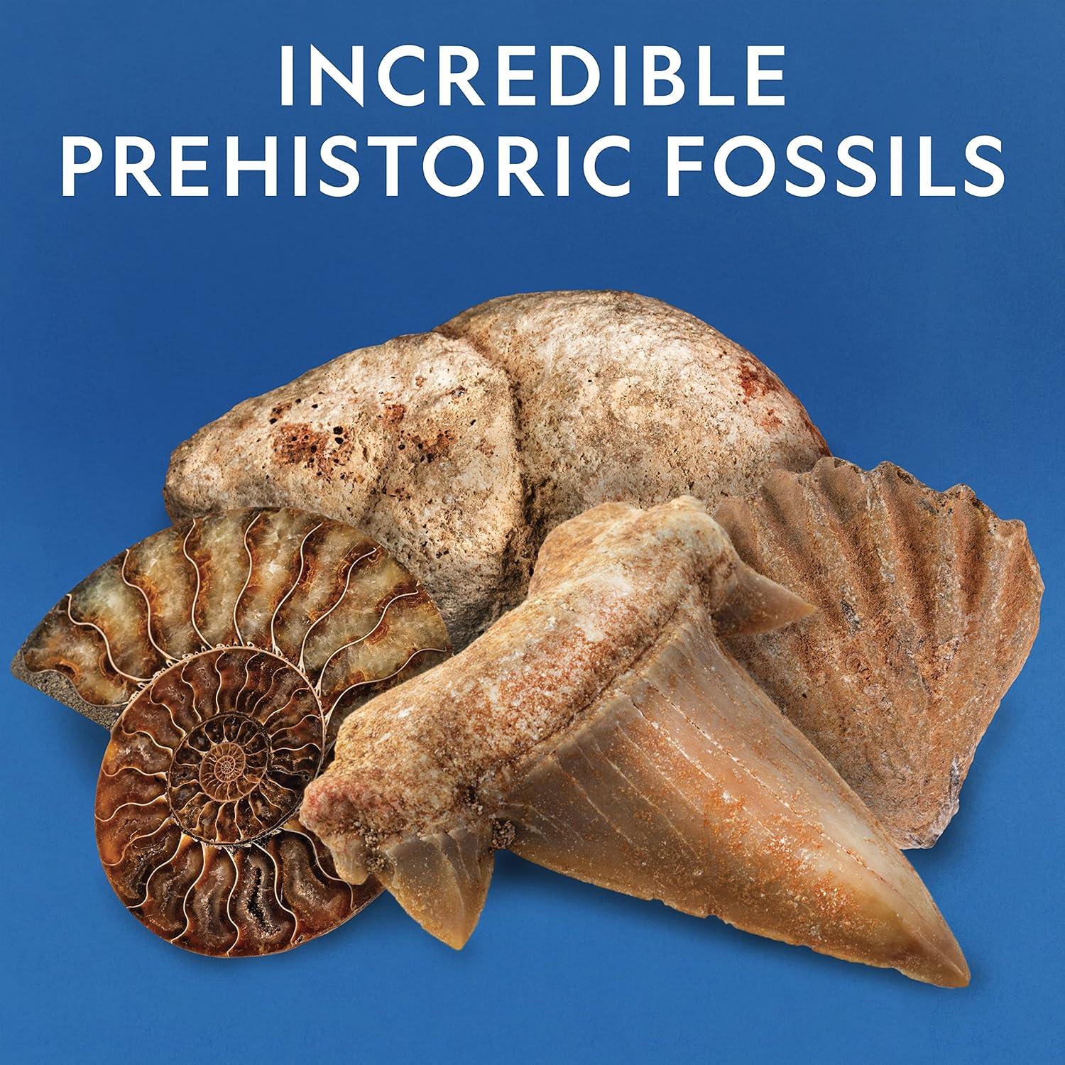 Kit de Rocas y Fósiles National Geographic - 300 Piezas