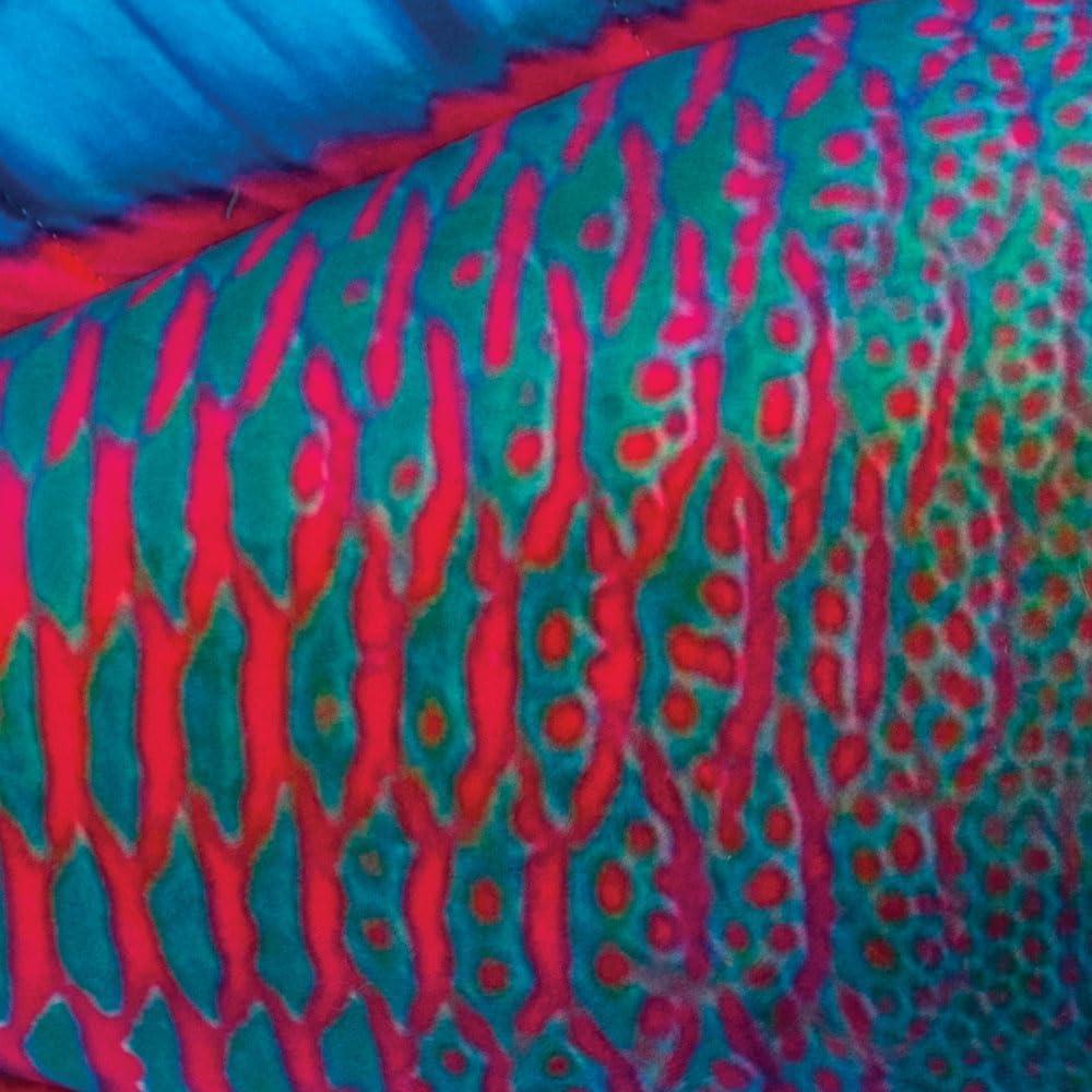 Pez Loro de Peluche Real Planet 27.94 cm - Juguete Educativo