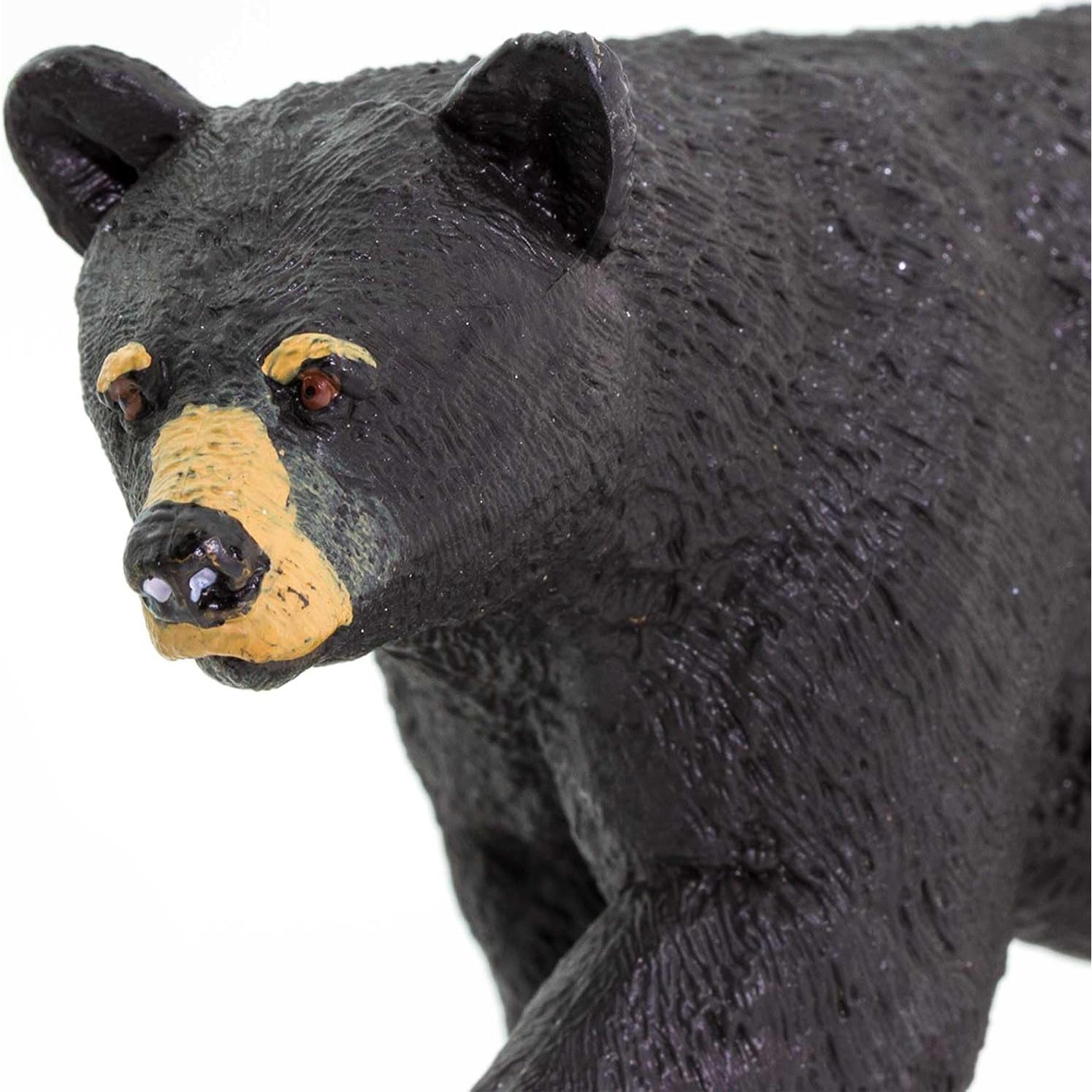 Figura Oso Negro América del Norte Safari Ltd 11.43 cm