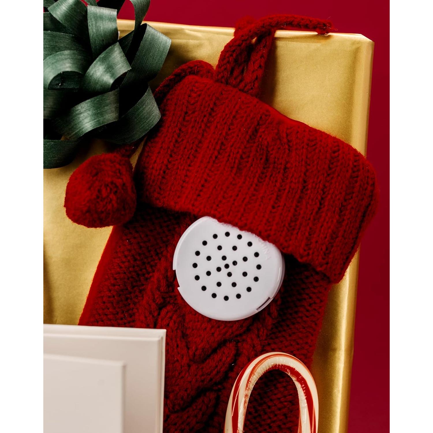 Grabadora de Voz VoiceGift Mini de 20 Segundos - Paquete de 2