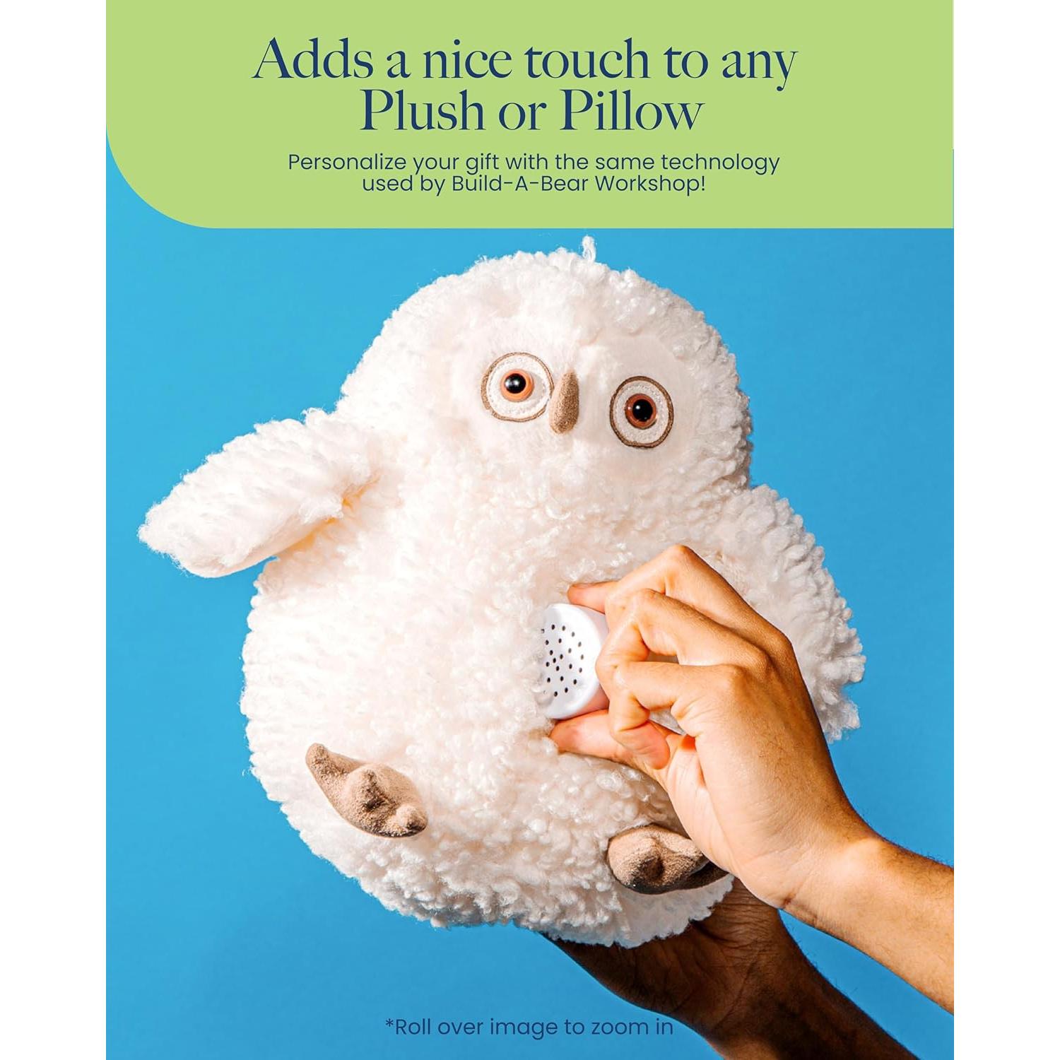 Grabadora de Voz VoiceGift Mini de 20 Segundos - Paquete de 2