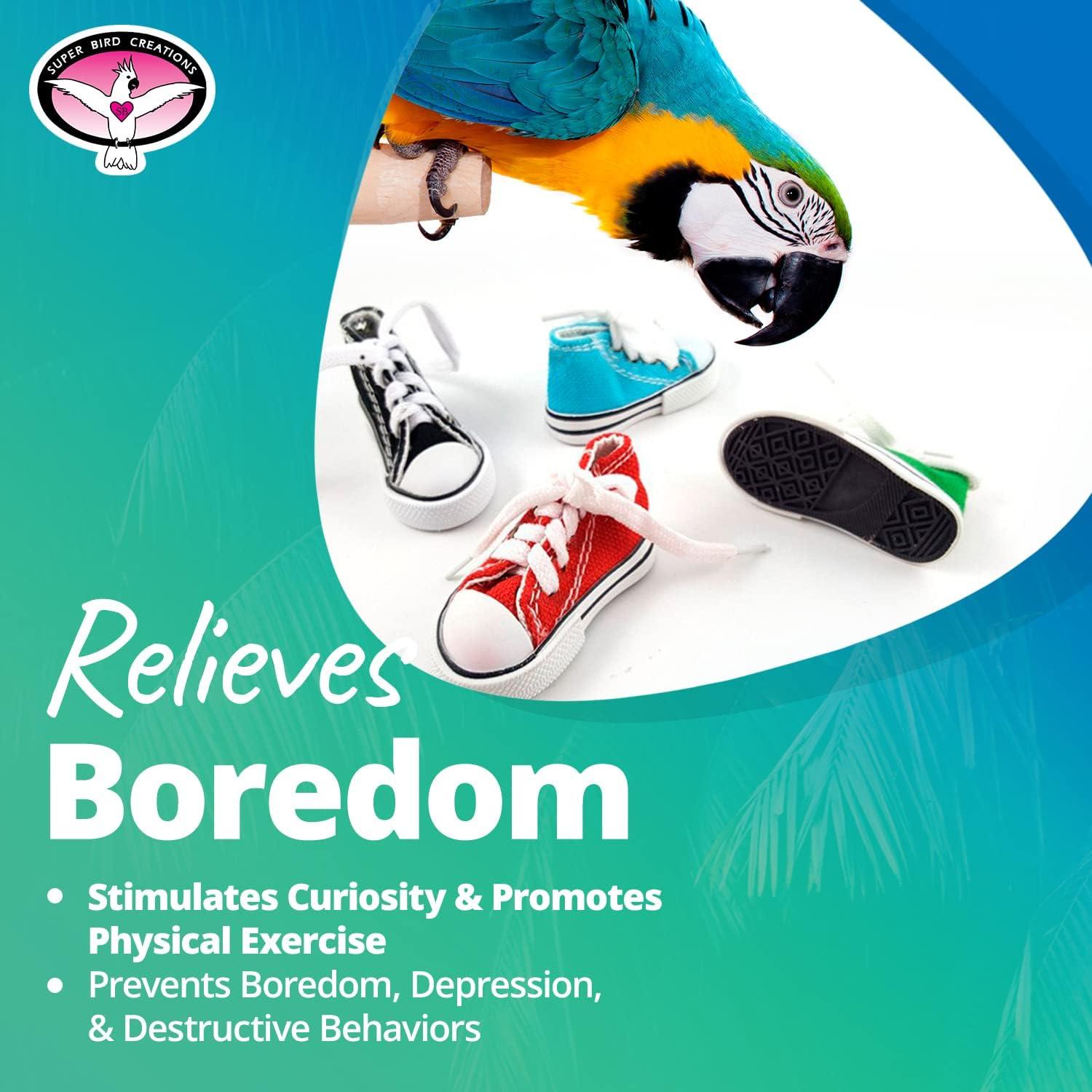 Juguete para Pájaros Super Bird Creations Sneaker 12 Paquete