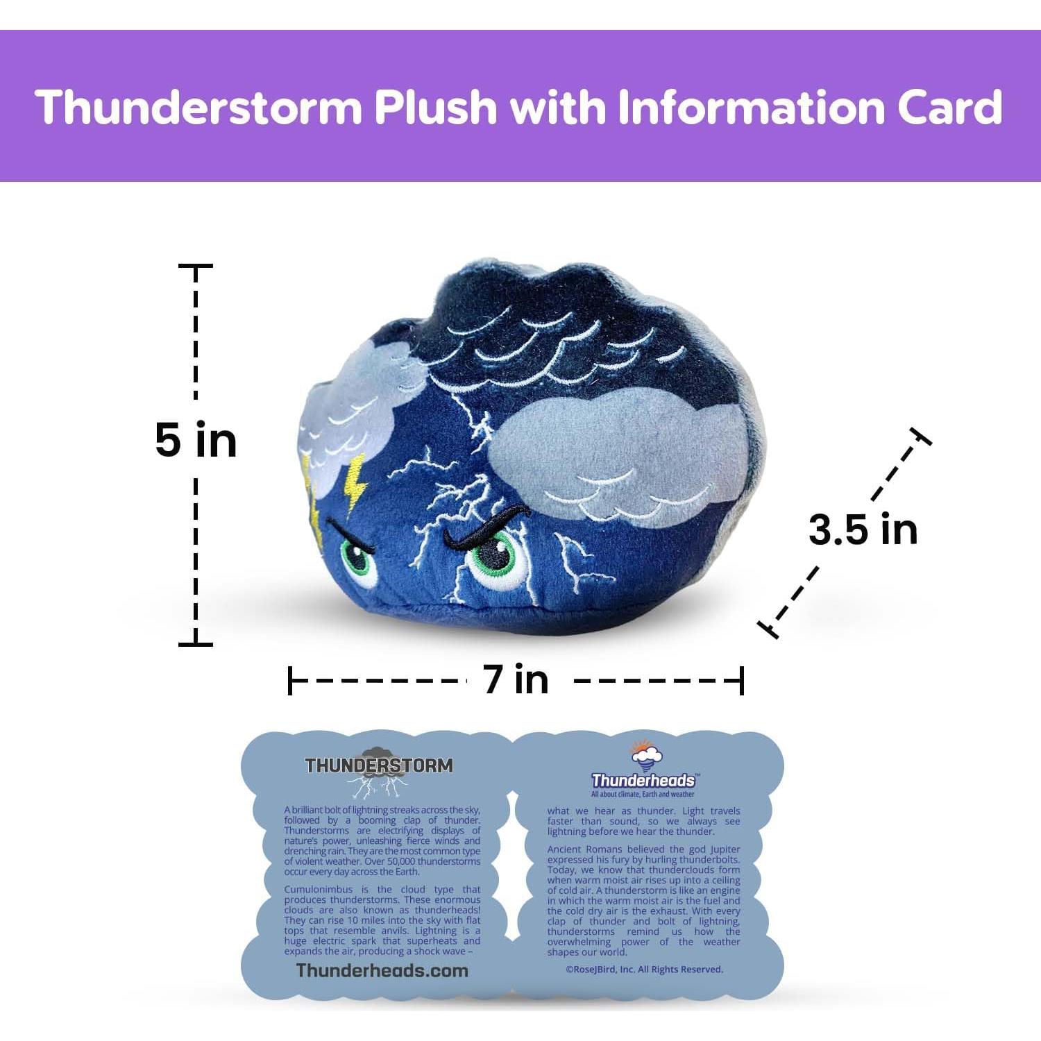 Peluche Tormenta Thunderheads 17.8 cm Educativo Sostenible