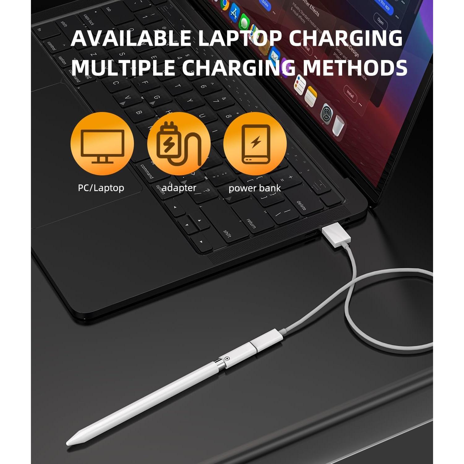 Adaptador USB C a Lightning 2-Pack para Apple Pencil 1ra Gen