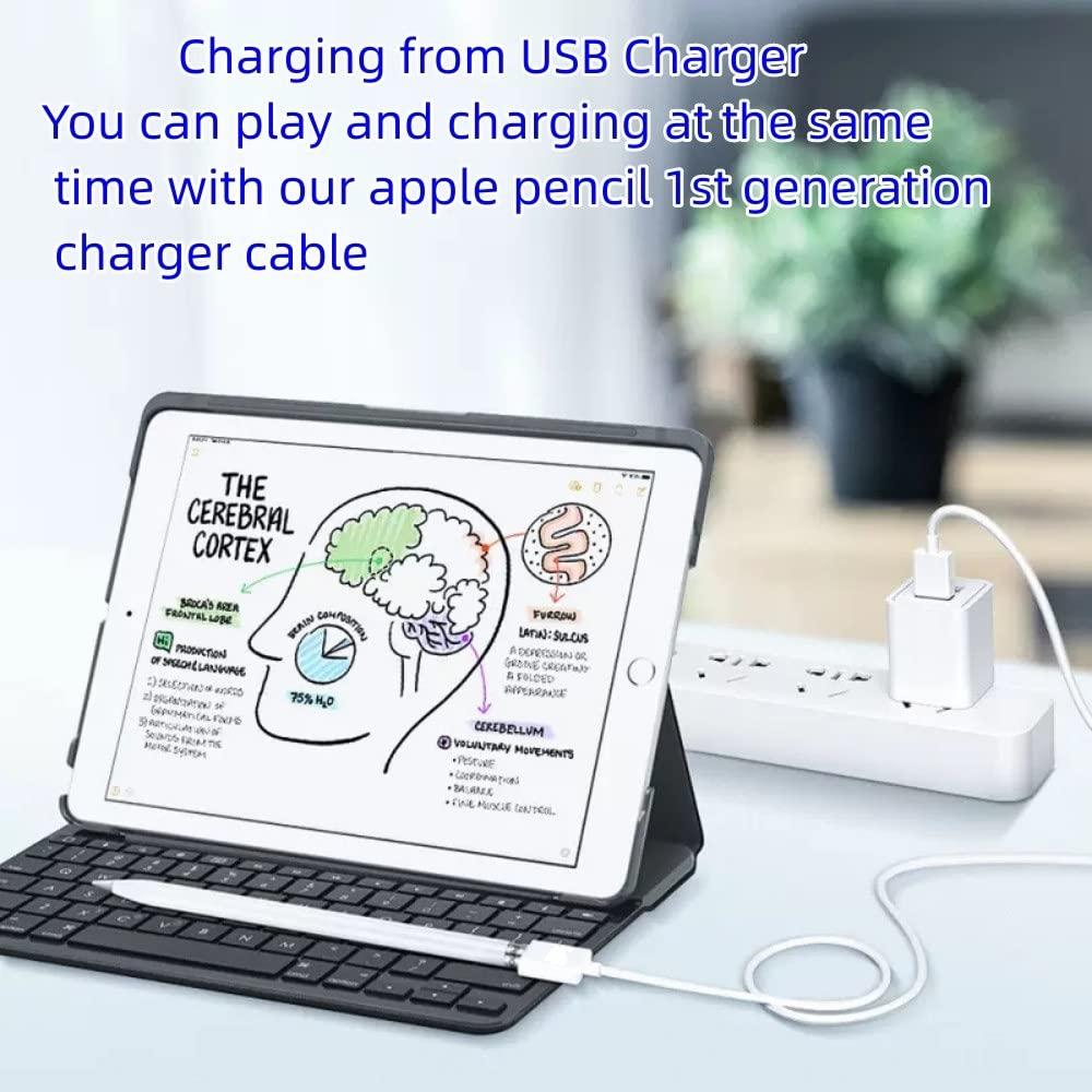Cargador Apple Pencil 1ra Generación ONGHAON 1.0m USB A a Lightning