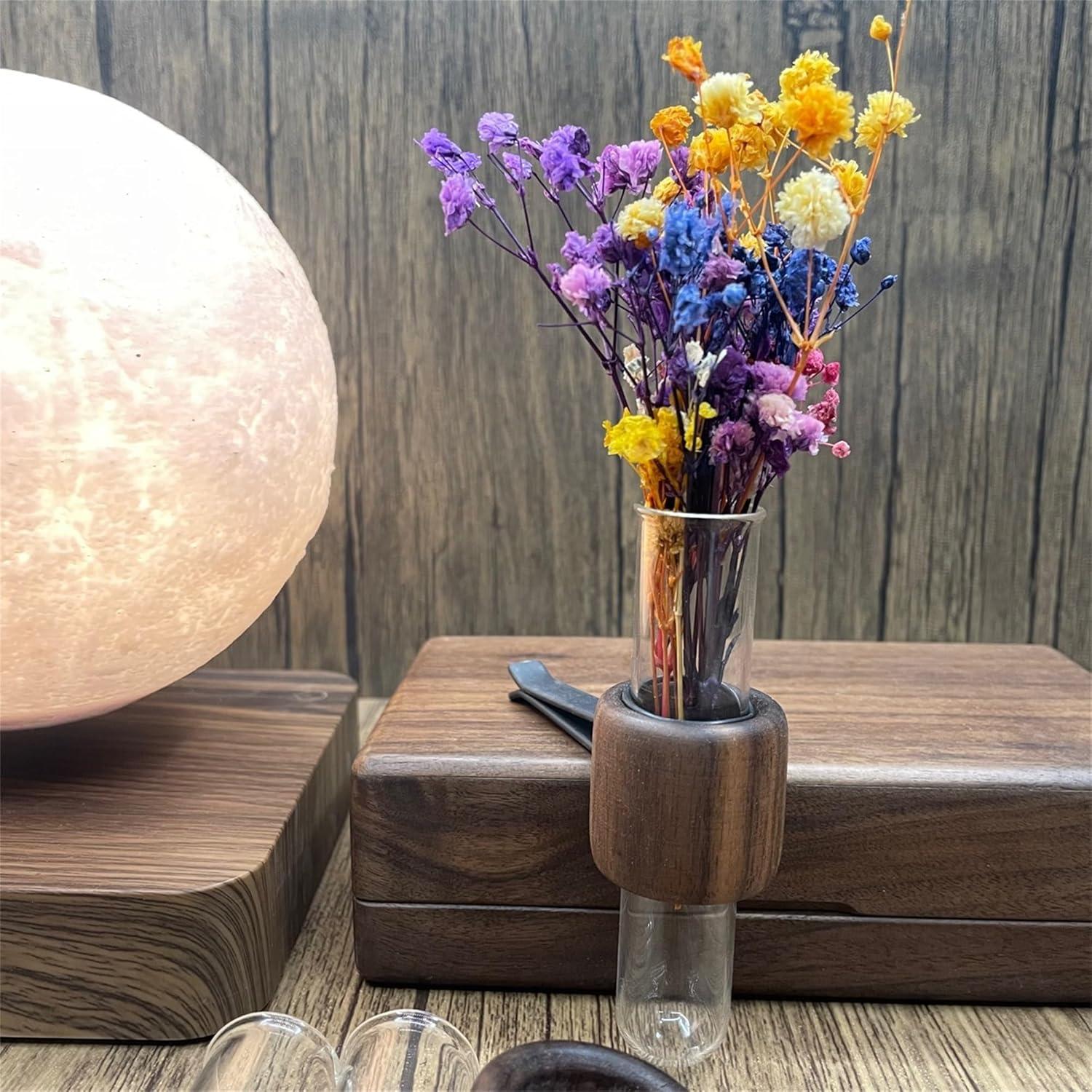 Jarrón de Propagación Redondo Hestarcul para Auto Clip Ventilación