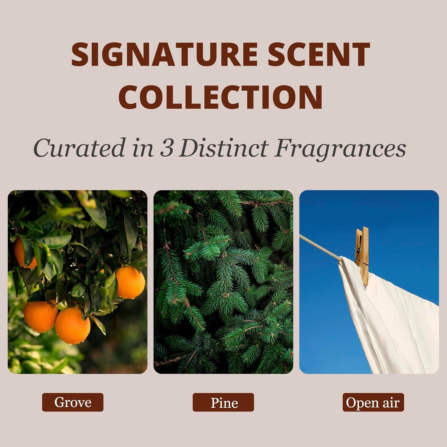 Ambientador de Auto Cratik - Madera Premium - 3 Fragancias