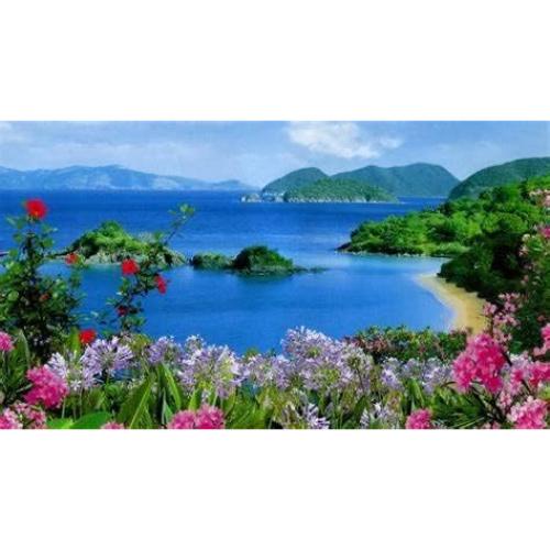 Paquete de 12 Recambios de Clip de Ventilación Sozbkelns - Fragancia Océano