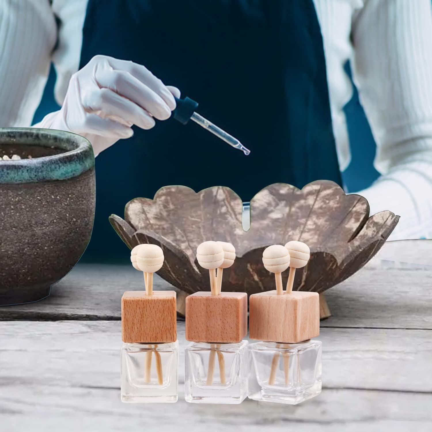 Paquete de 12 Ambientadores de Aire para Automóvil Remzndy