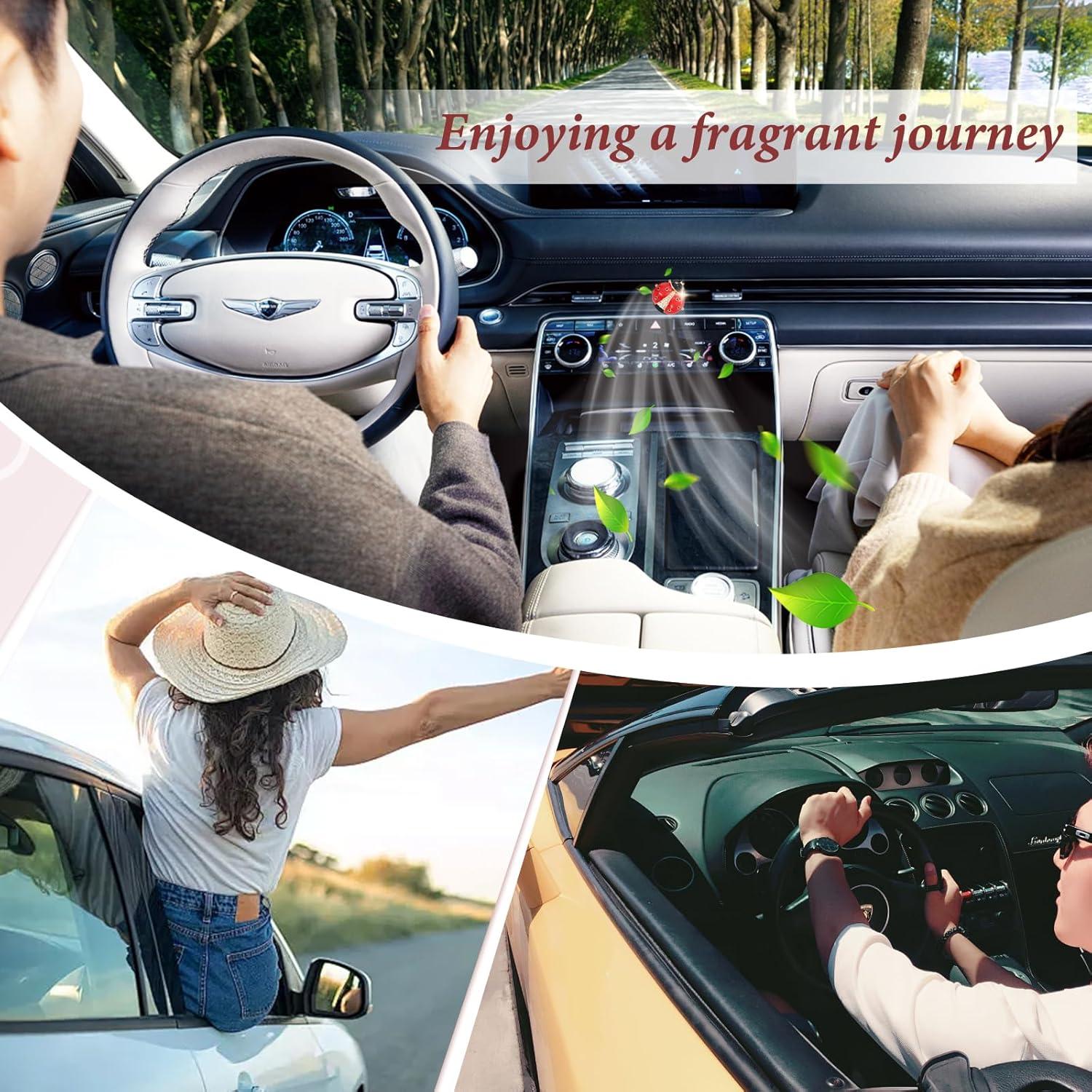 Clips de Ventilación de Coche Mariquita LUODAKA - 2 Pcs