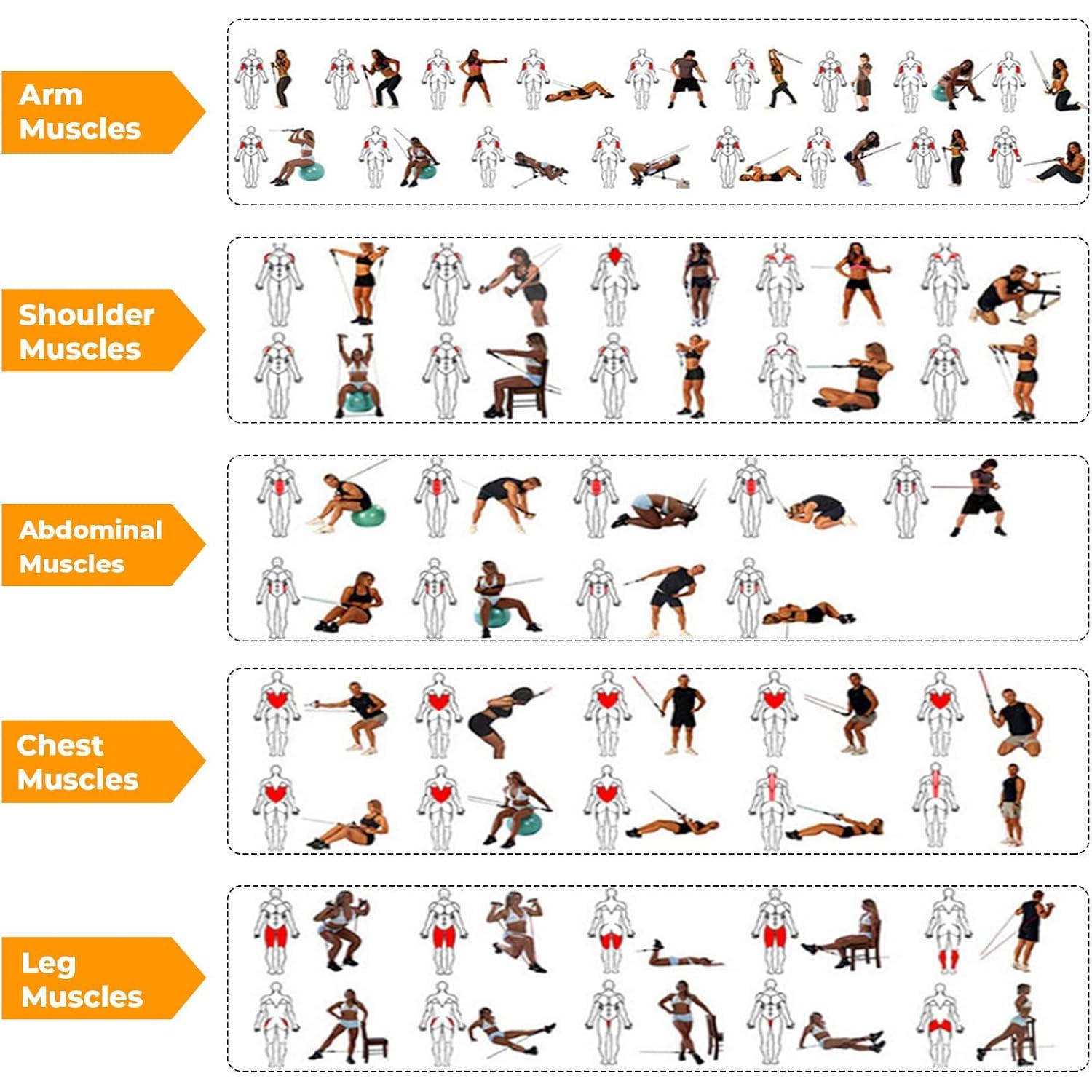 Juego de Bandas de Resistencia HONCUANWS 2PCS 11.34kg