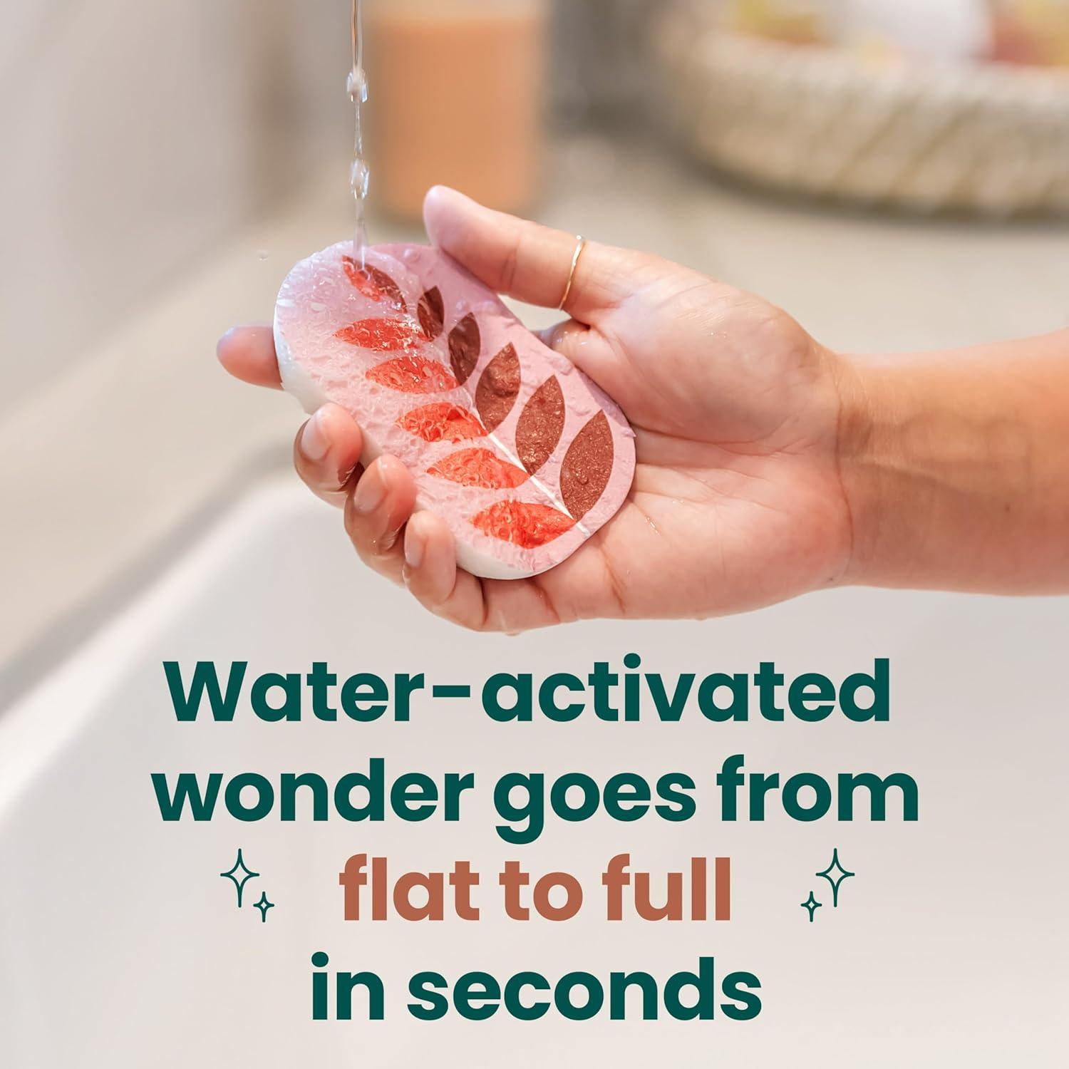 Colección Brite Harvest Scotch-Brite 8 Esponjas de Limpieza